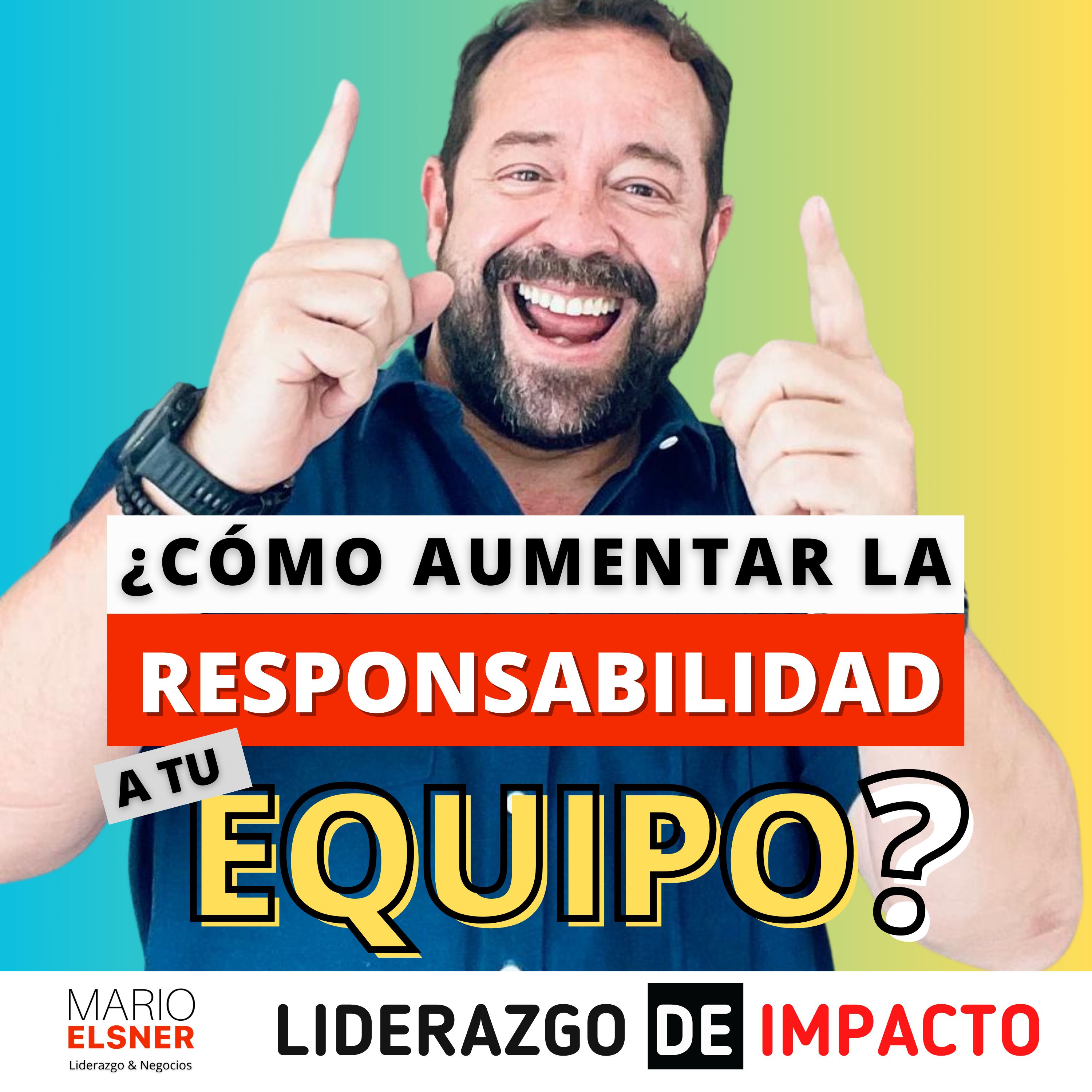 Portada de ¿Cómo lo haría un DIRECTOR?