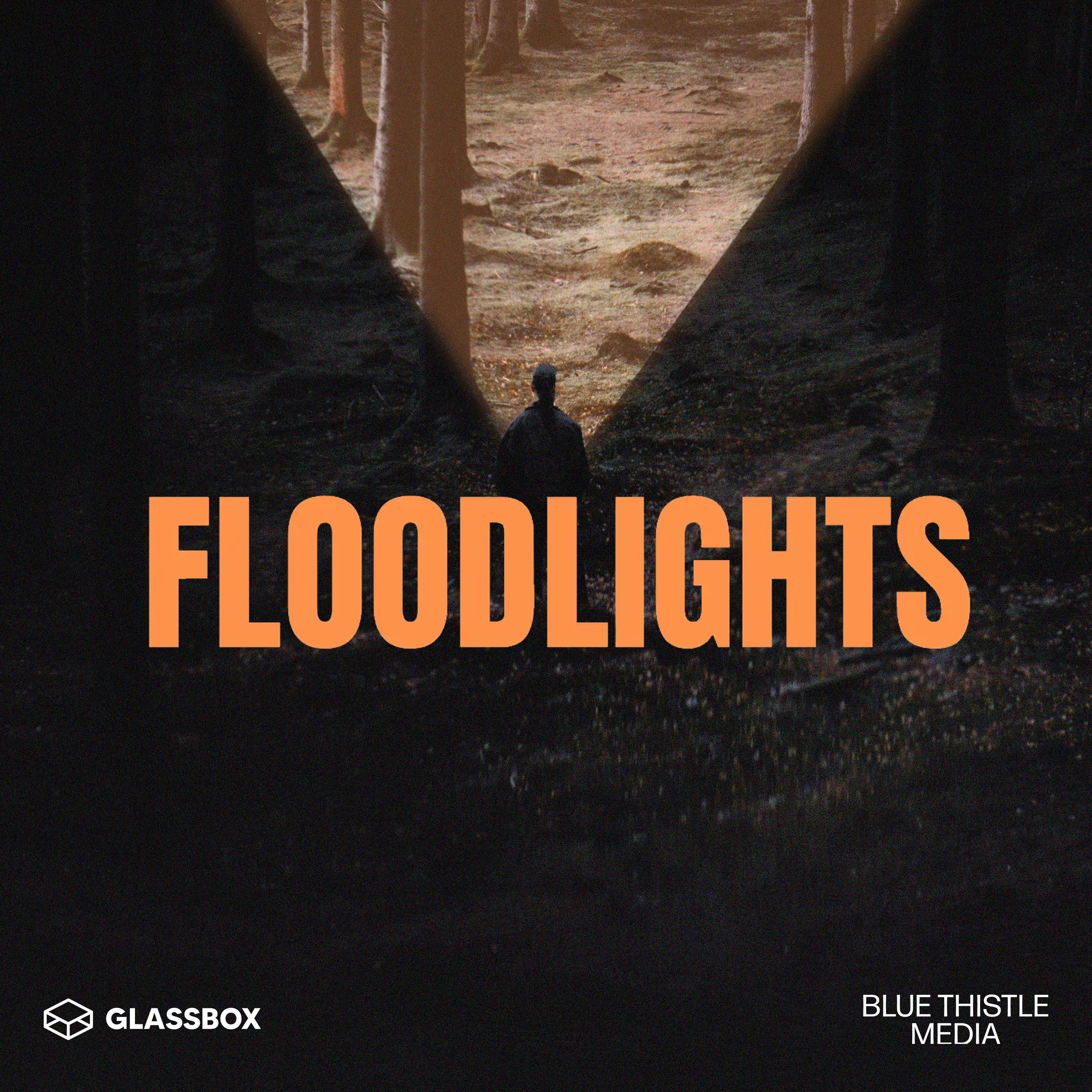 Floodlights cover