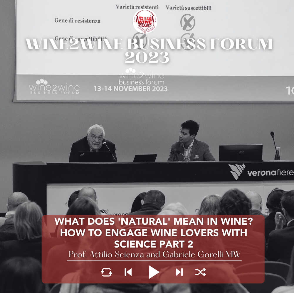 What does 'natural' mean in wine? Pt. 2 | Everybody Needs A Bit Of Scienza