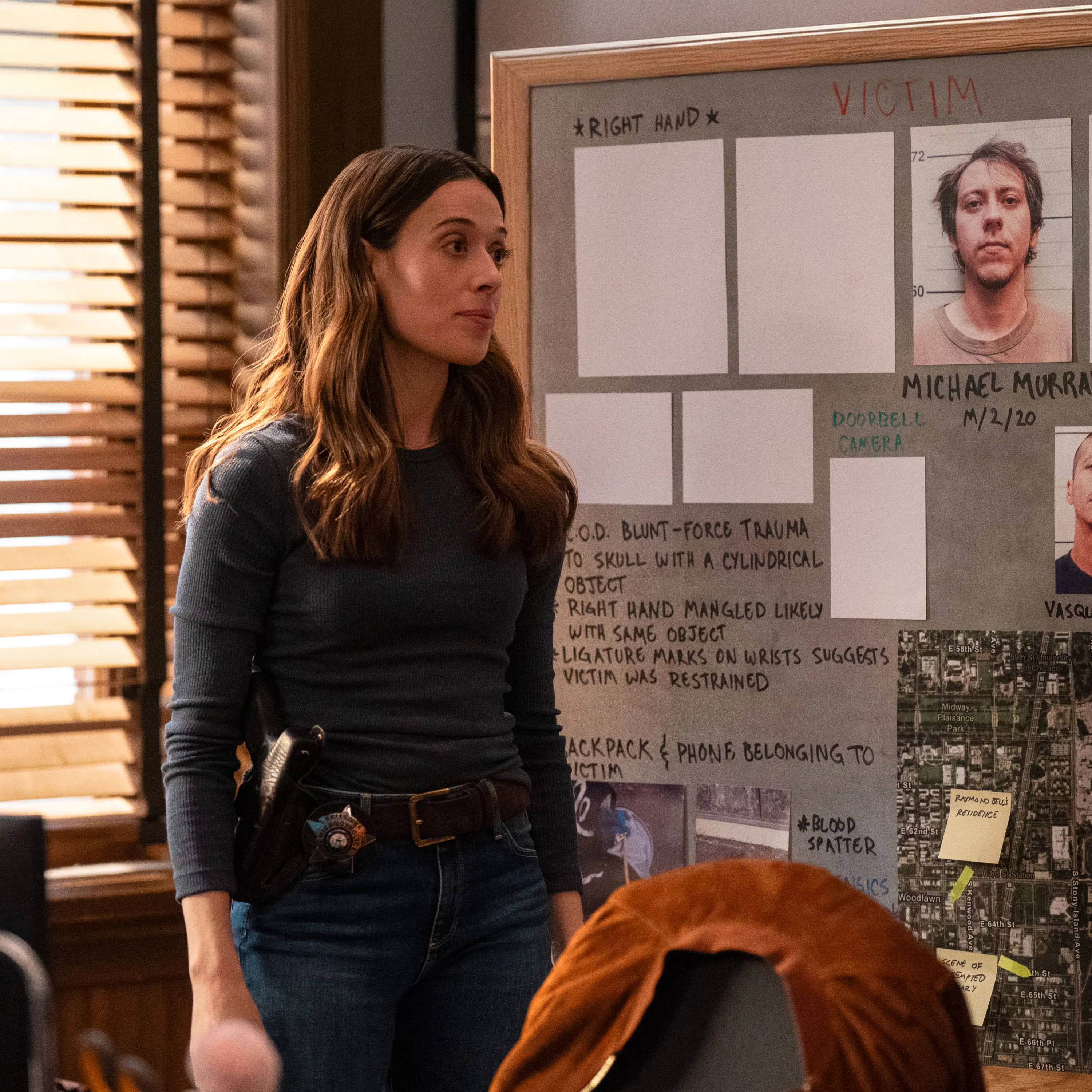 Marina Squerciati (Kim Burgess on Chicago P.D.) episode artwork