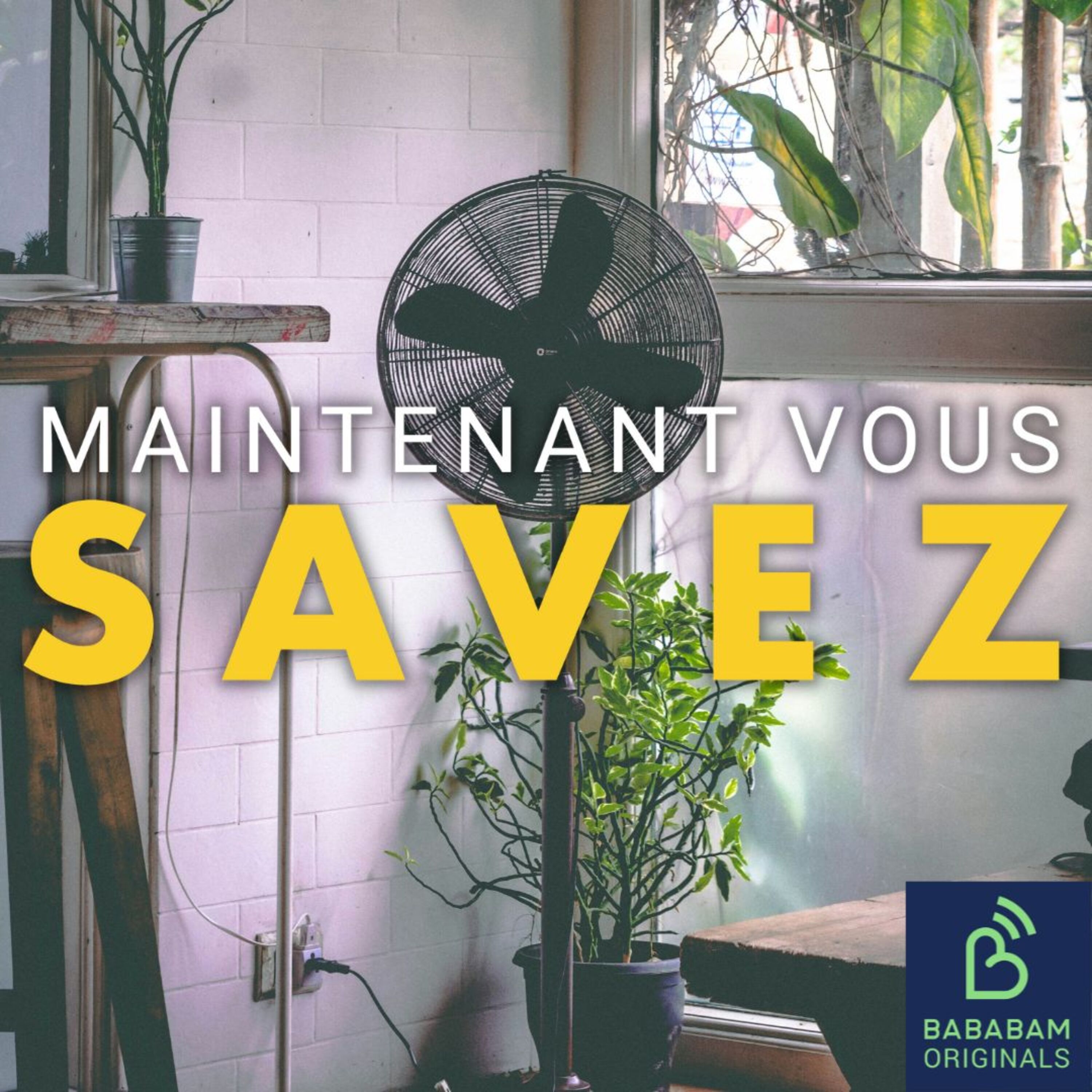Comment rafraîchir son intérieur sans clim ? episode artwork