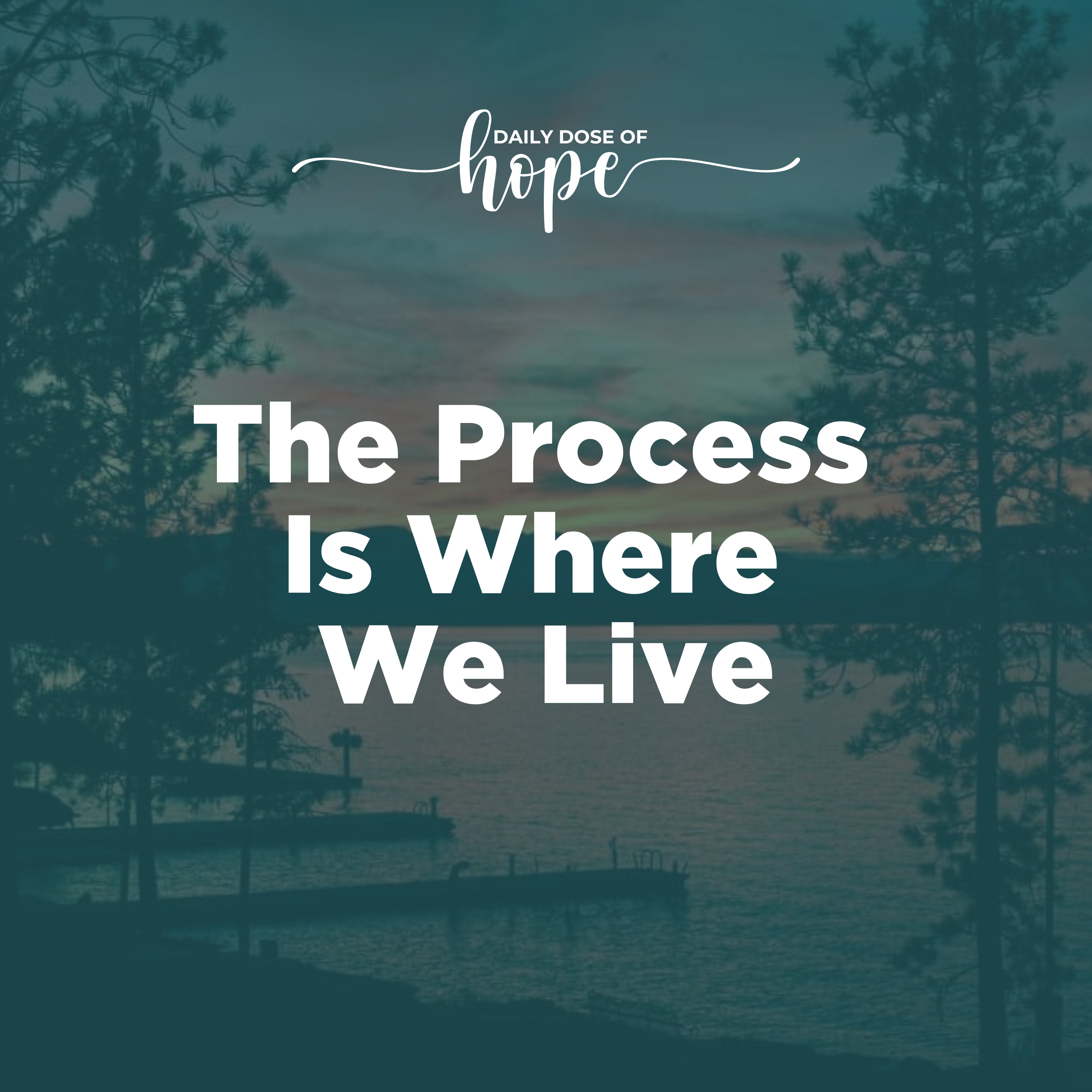 The Process Is Where We Live episode artwork
