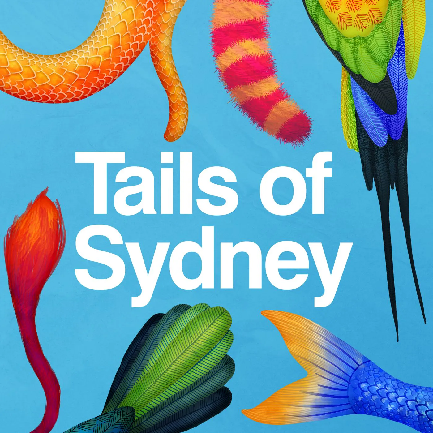 Coming soon - Tails of Sydney episode artwork