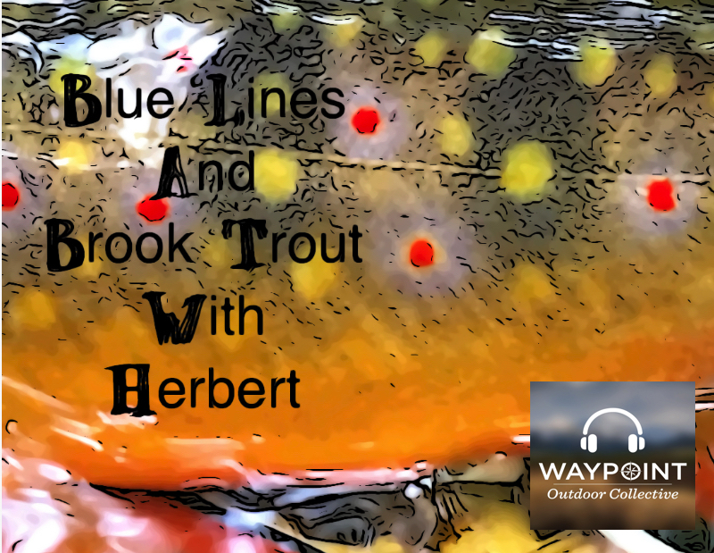 Fly Fishing Consultant Podcast