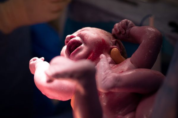 Placenta Benefits After Childbirth