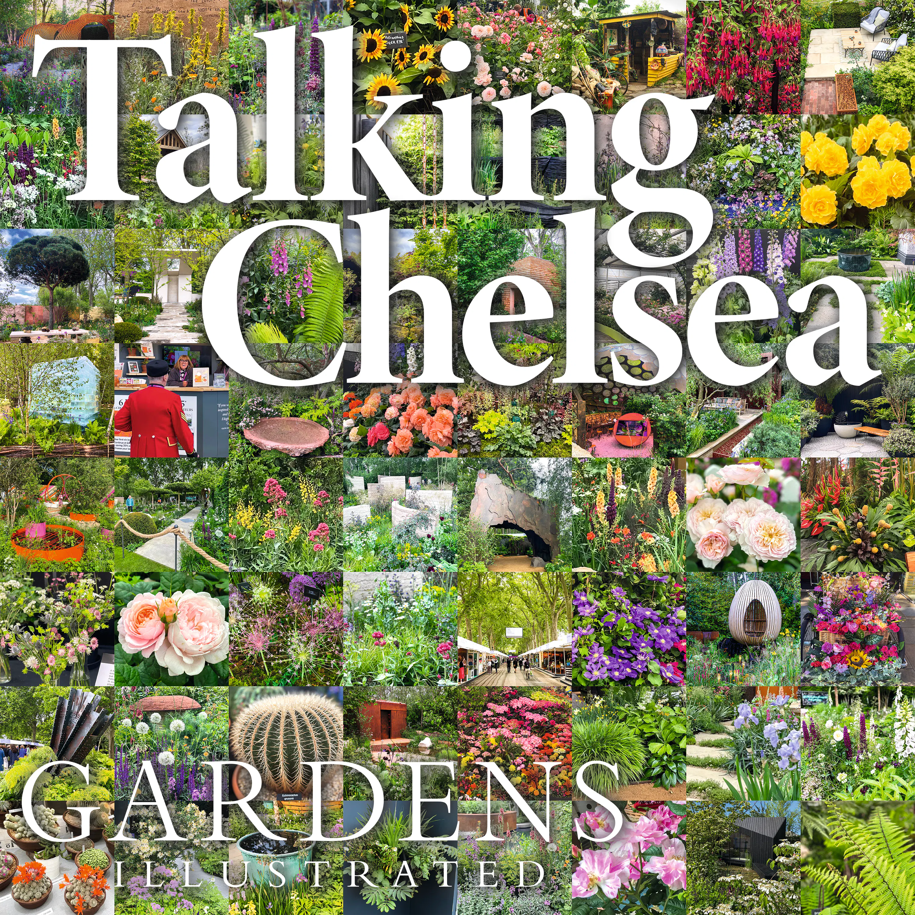 How to build a Chelsea garden (and get into the show for free) episode artwork
