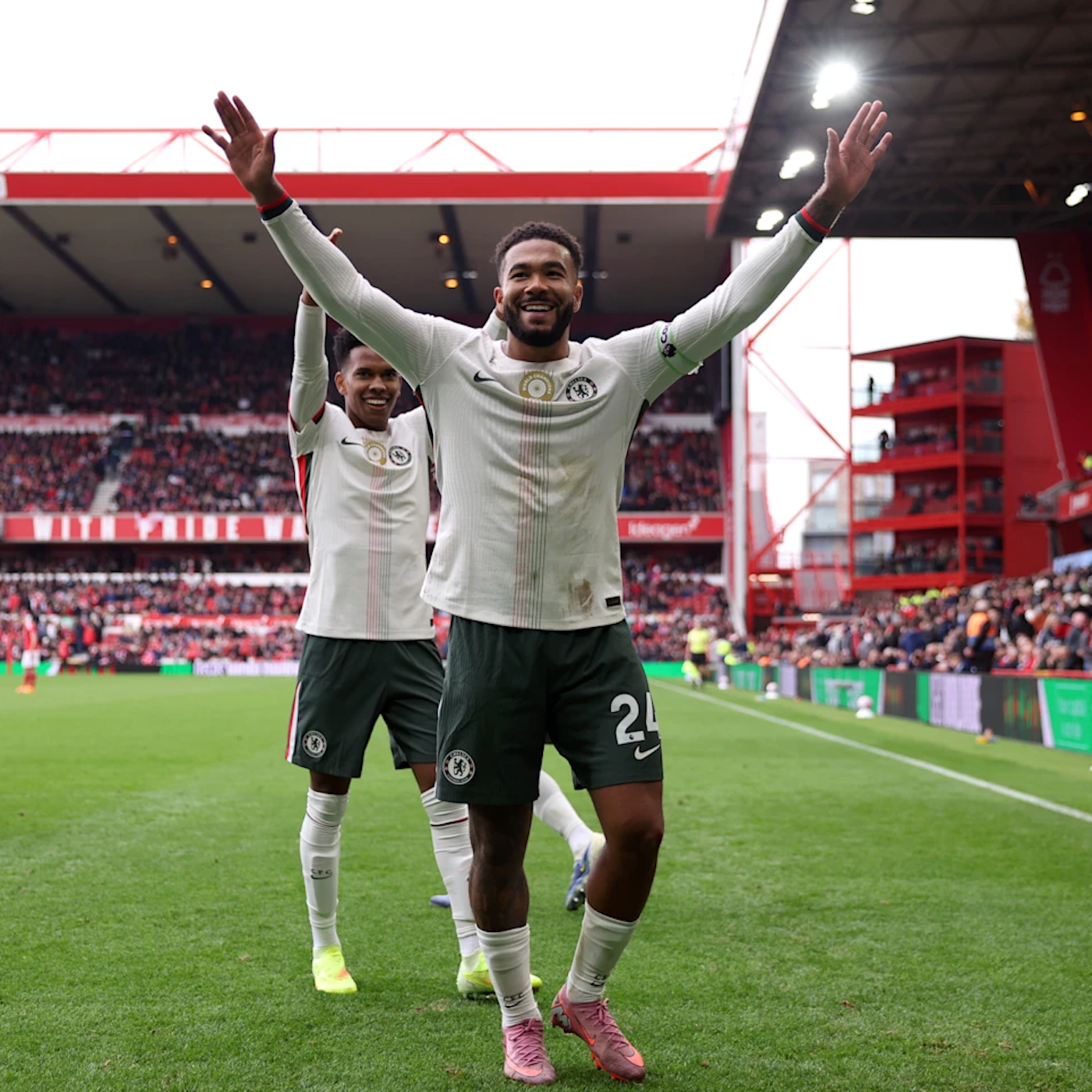 The Trees Felled Episode