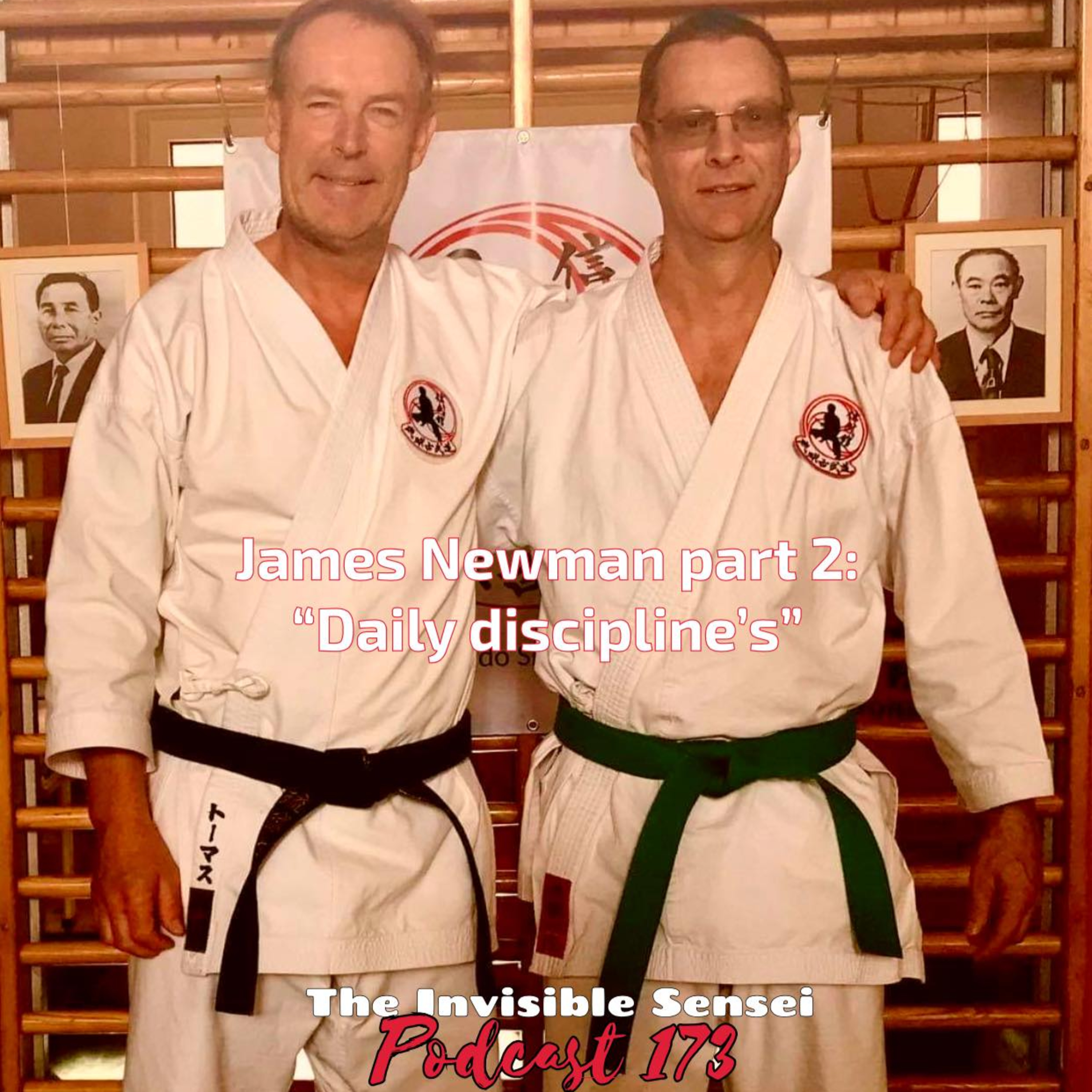 The Invisible Sensei