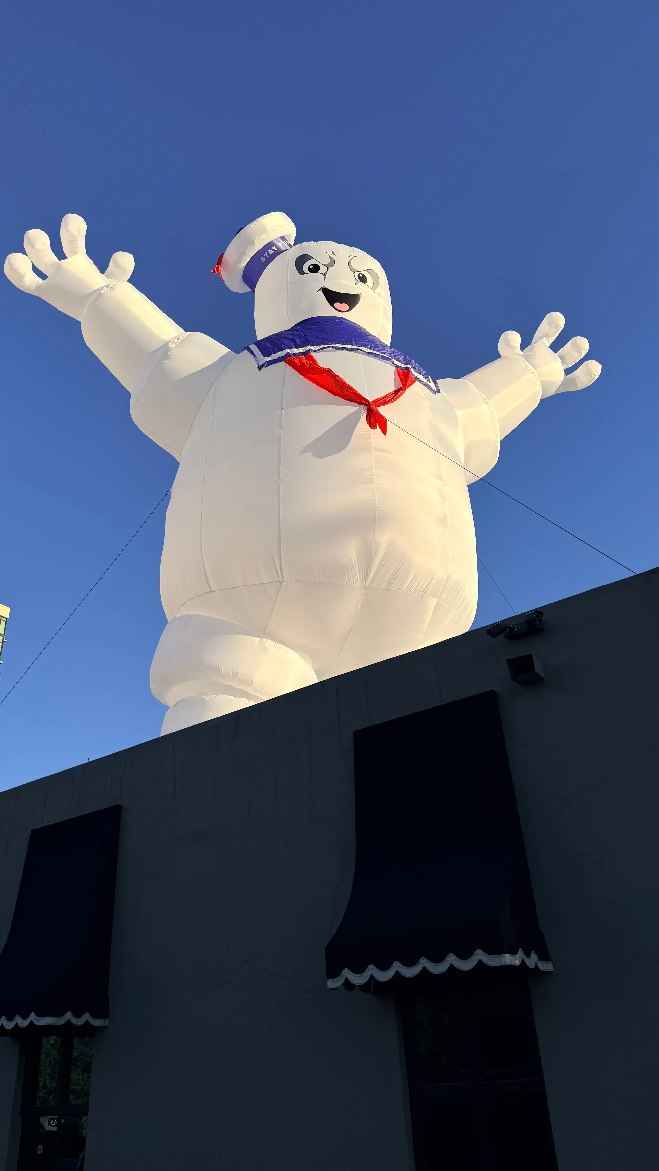 No More GUNS. A Musical Presentation by Jimmy Lee Boggs No More GUNS. A Musical Presentation by Jimmy Lee Boggs