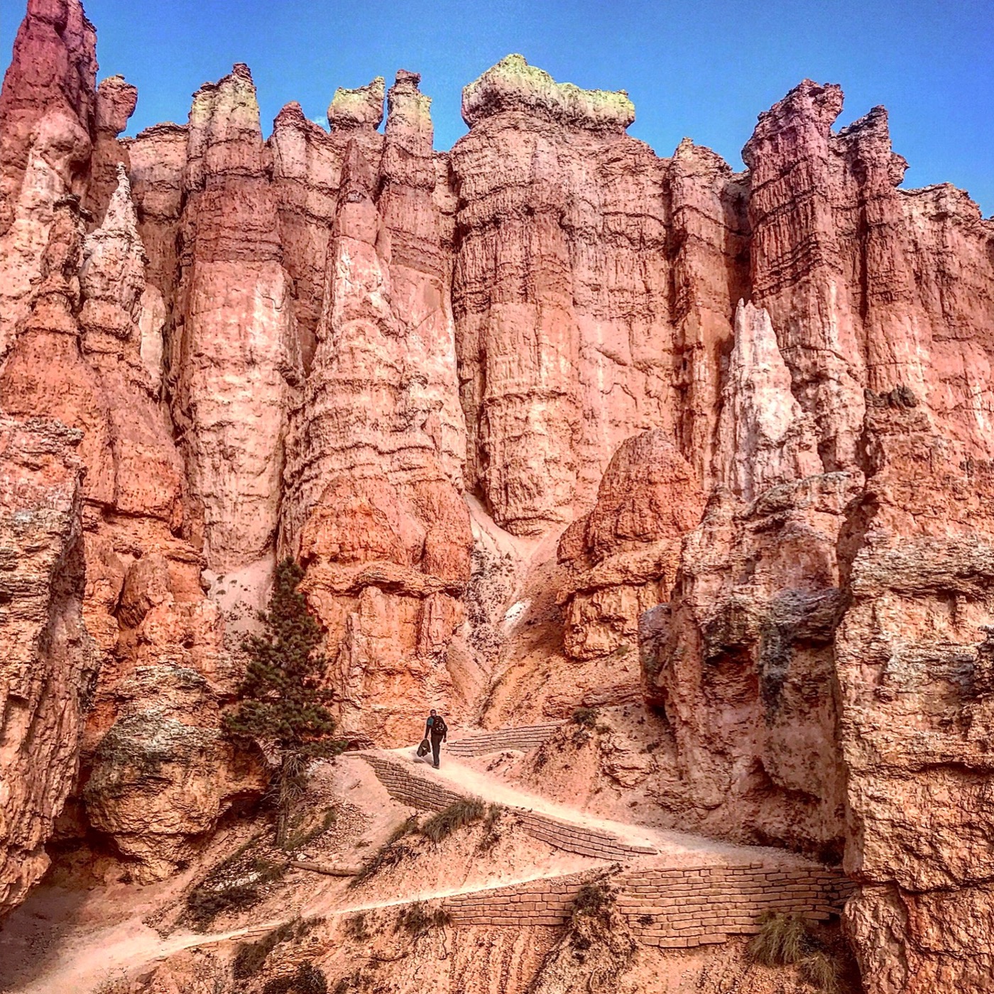 #60: One Perfect Day in Bryce Canyon National Park