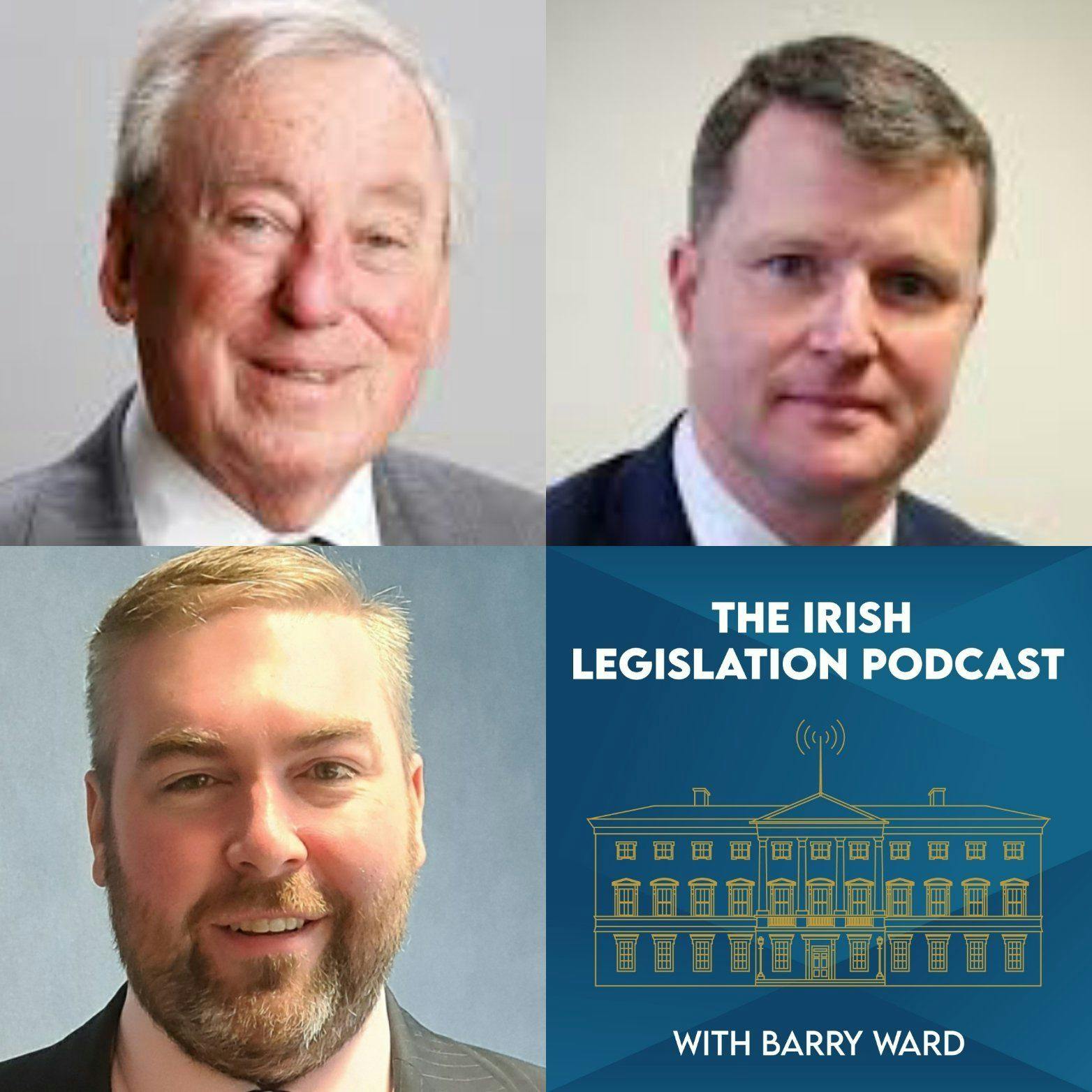 S1 Ep5: Seanad Reform: the Seanad Bill 2020 and the Seanad Electoral (University Members) (Amendment) Bill 2020, with Dr Maurice Manning & Senator Malcolm Byrne