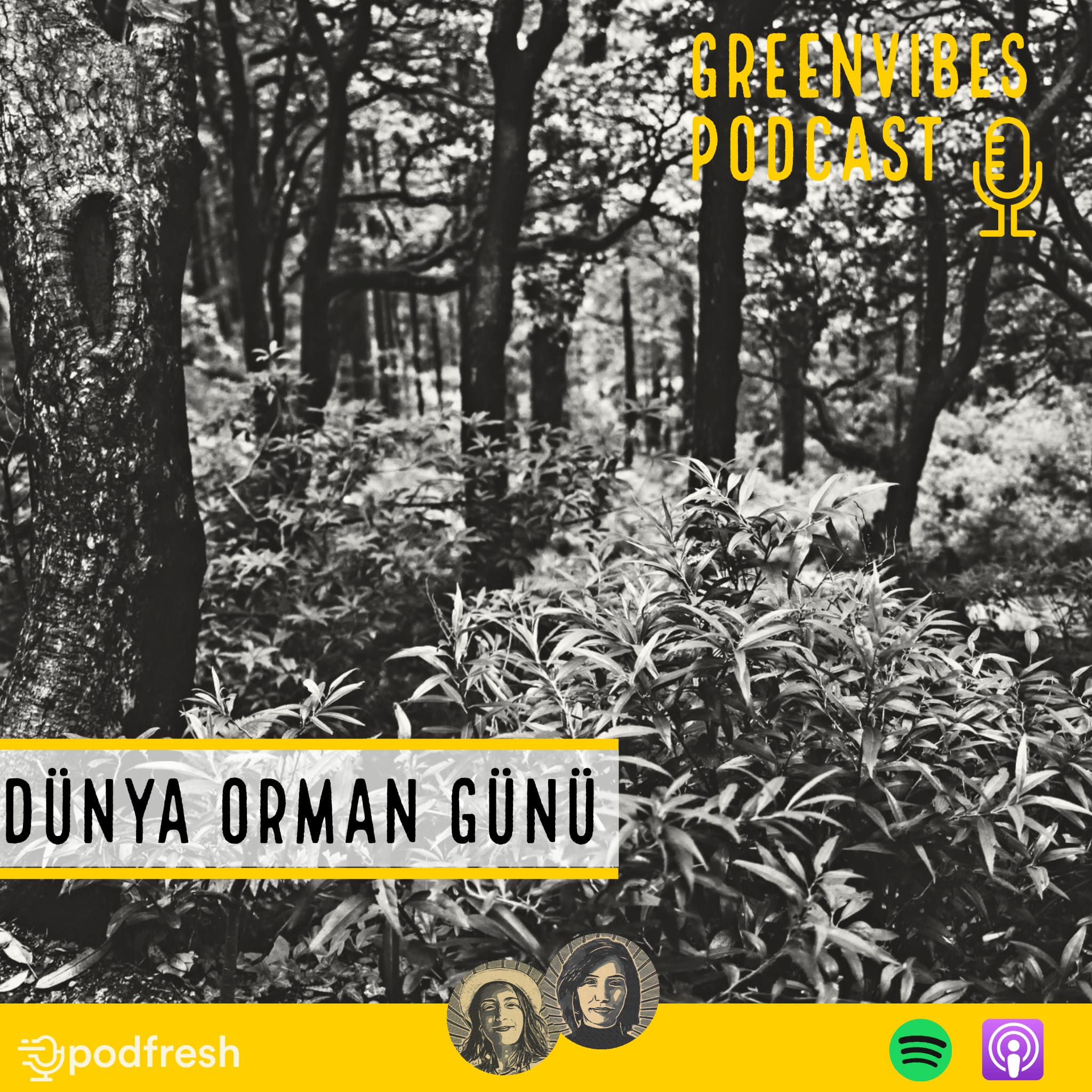 21 Mart Dünya Orman Günü