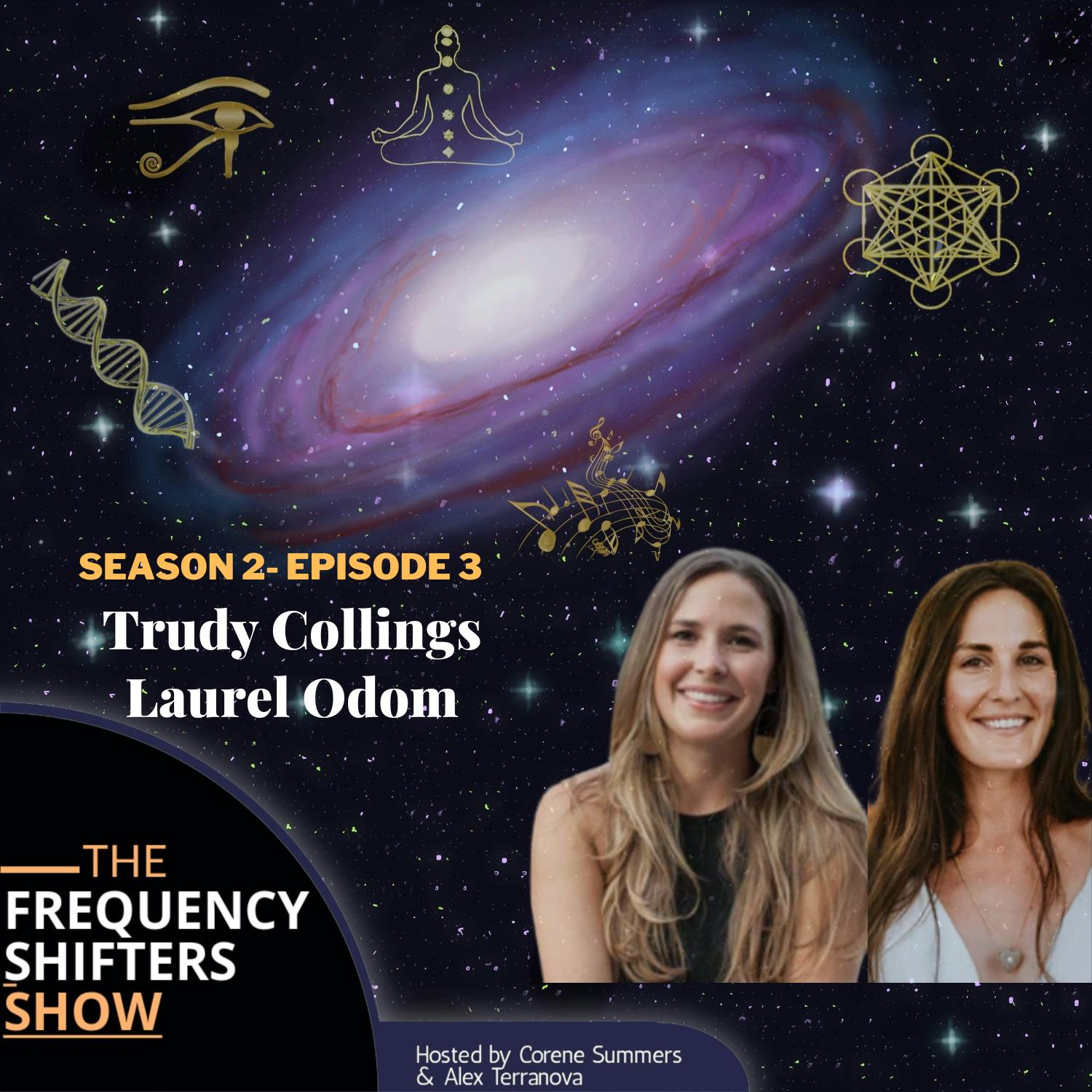 S2E3 - Ojas, Ayurveda and Activism with PAAVANI Ayurveda's Trudy Collings and Laurel Odom S2E3 - Ojas, Ayurveda and Activism with PAAVANI Ayurveda's Trudy Collings and Laurel Odom