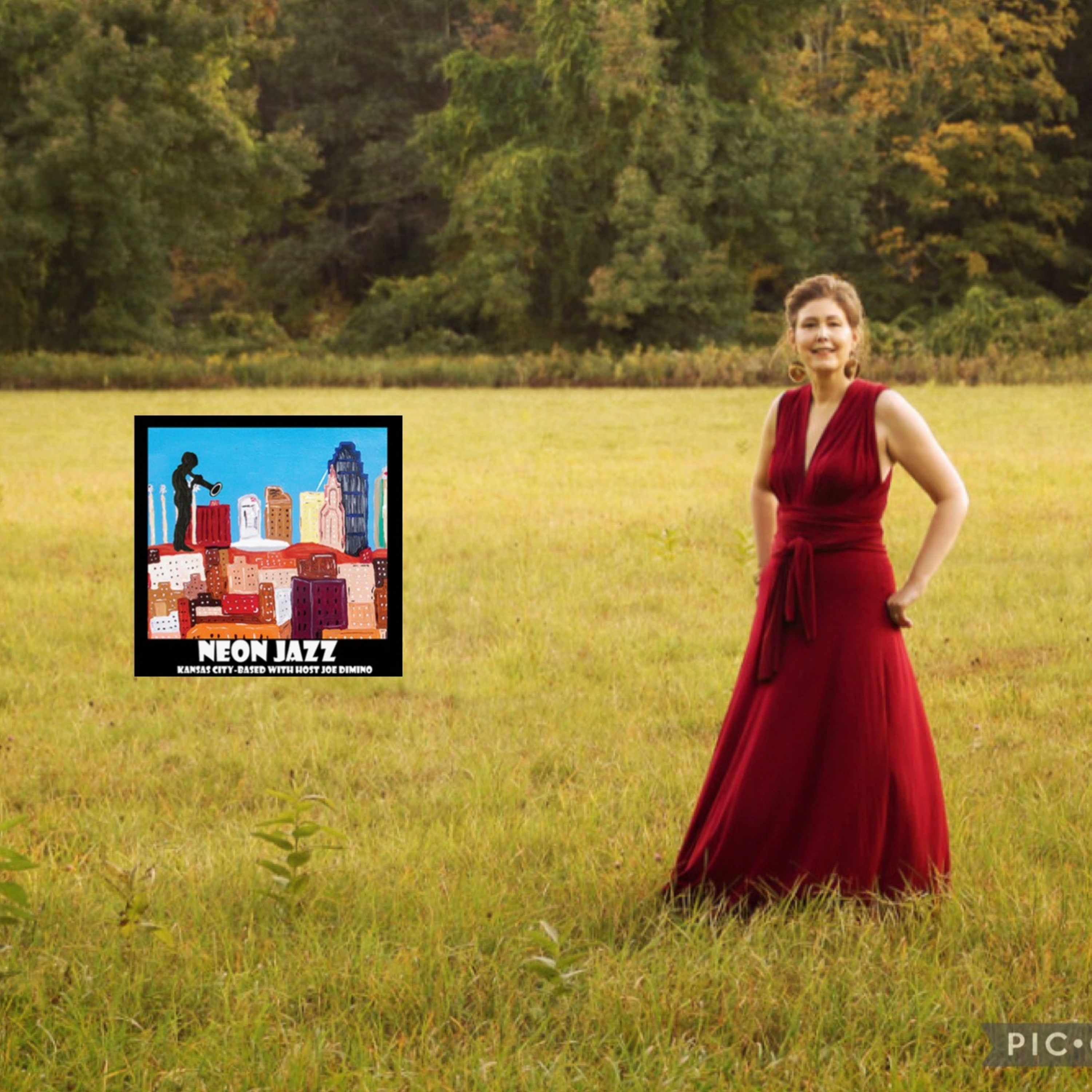 NYC Jazz Vocalist & Recording Artist Audrey Silver episode artwork