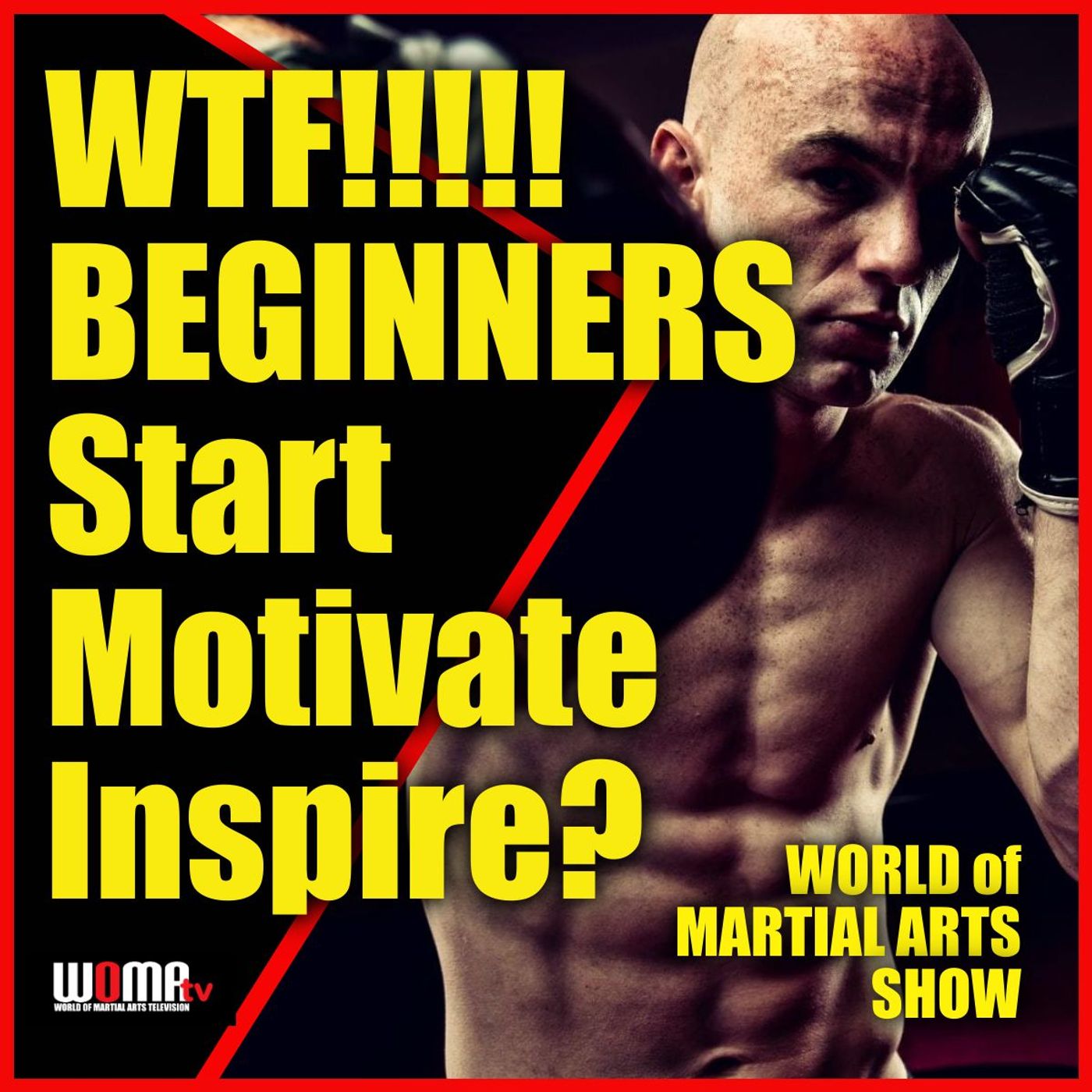 World of Martial Arts Show