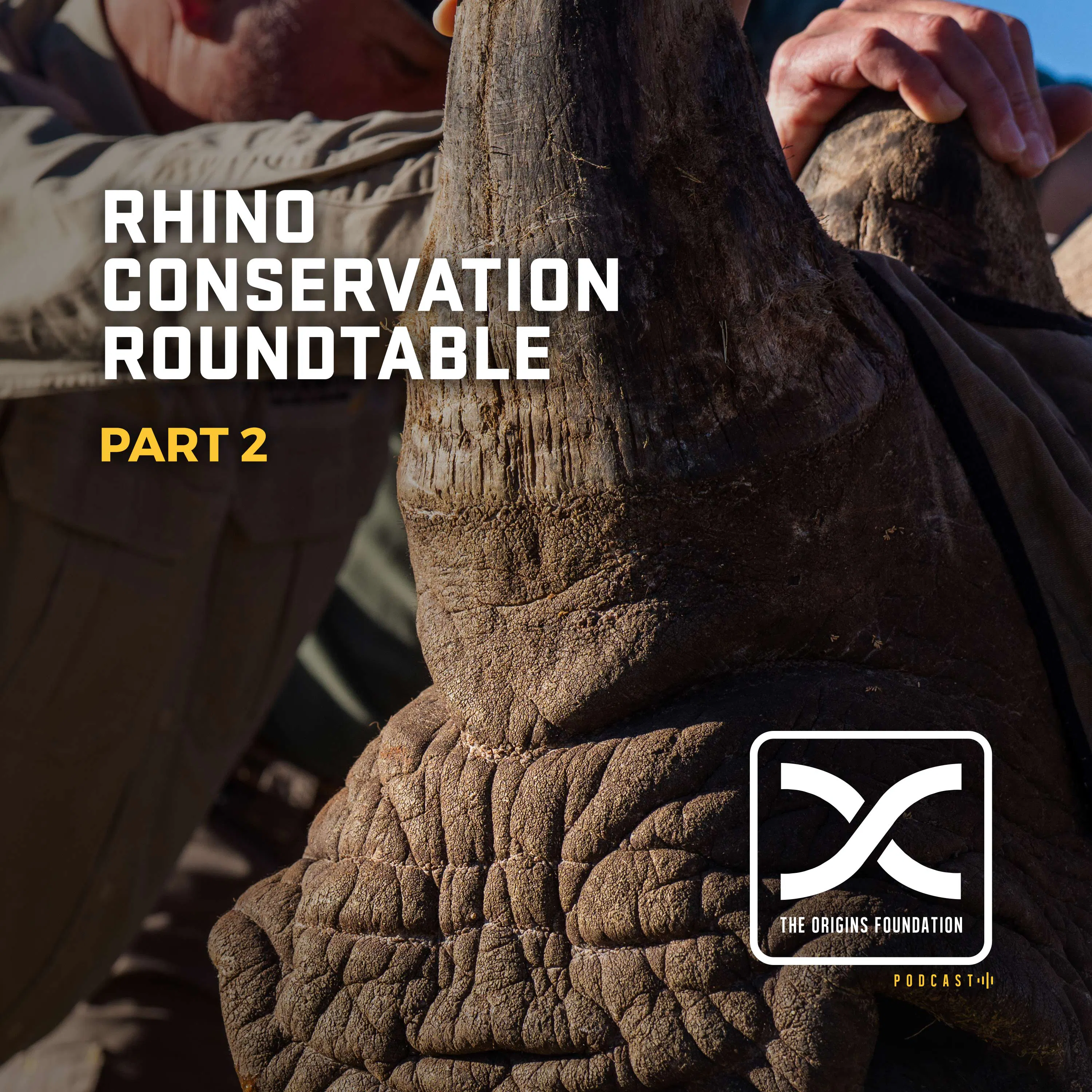 Episode 664 - Rhino Conservation Roundtable, Part 2 — The Origins Foundation Podcast cover