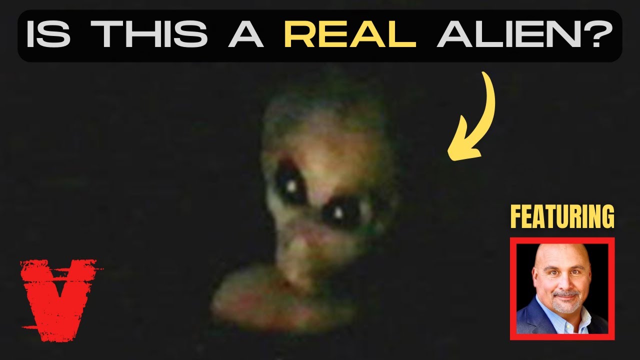 BREAKDOWN: Alien Interview Video & DARPA Scientist Warning episode artwork