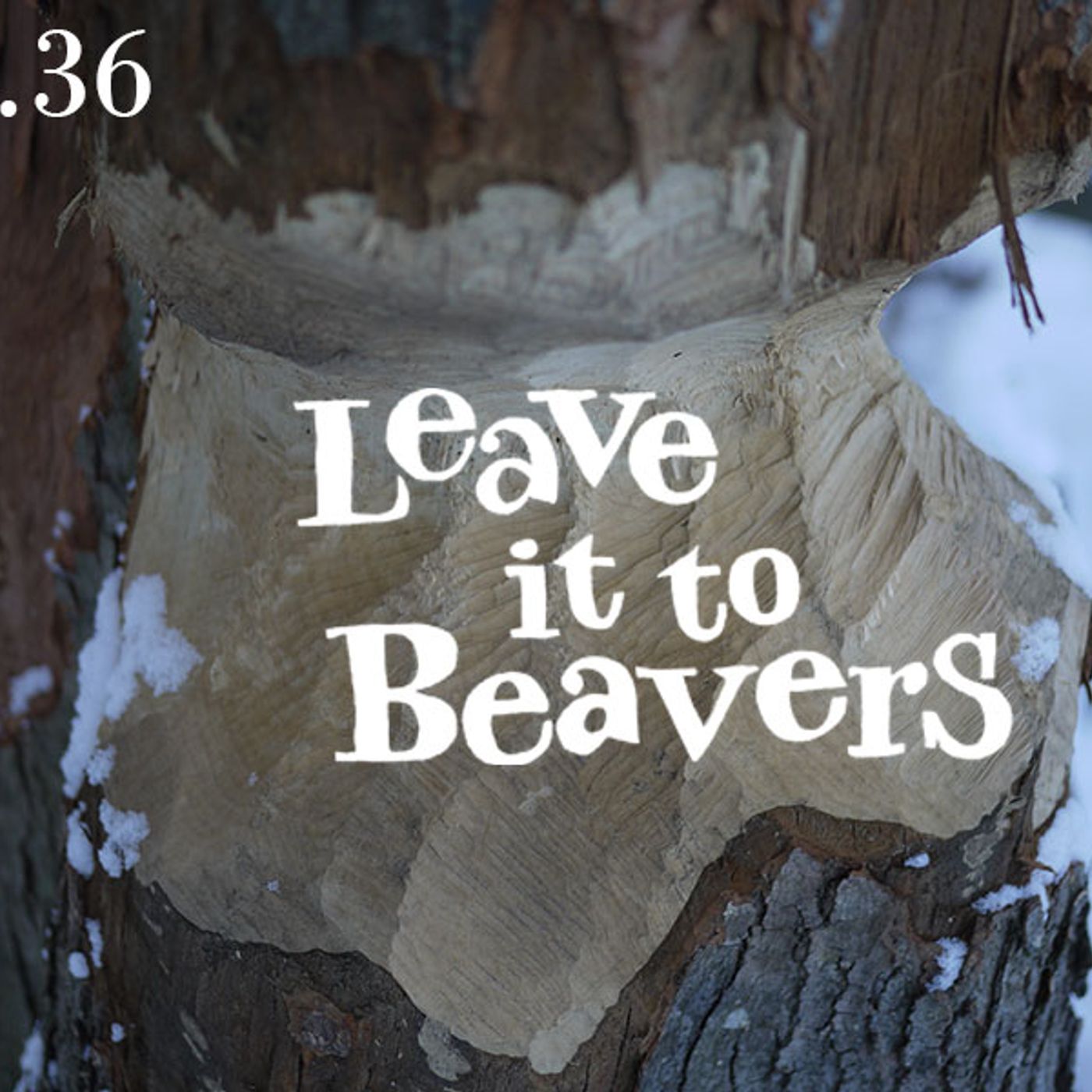 Leave it to Beavers