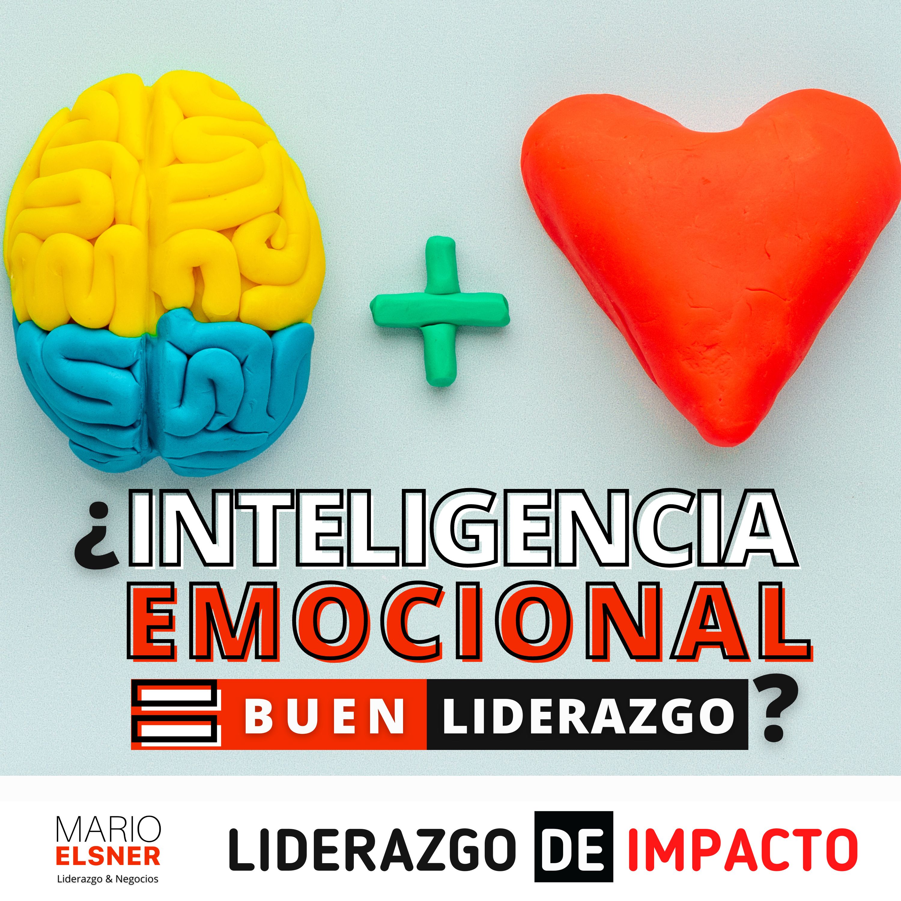 Portada de ¿Cómo lo haría un DIRECTOR?