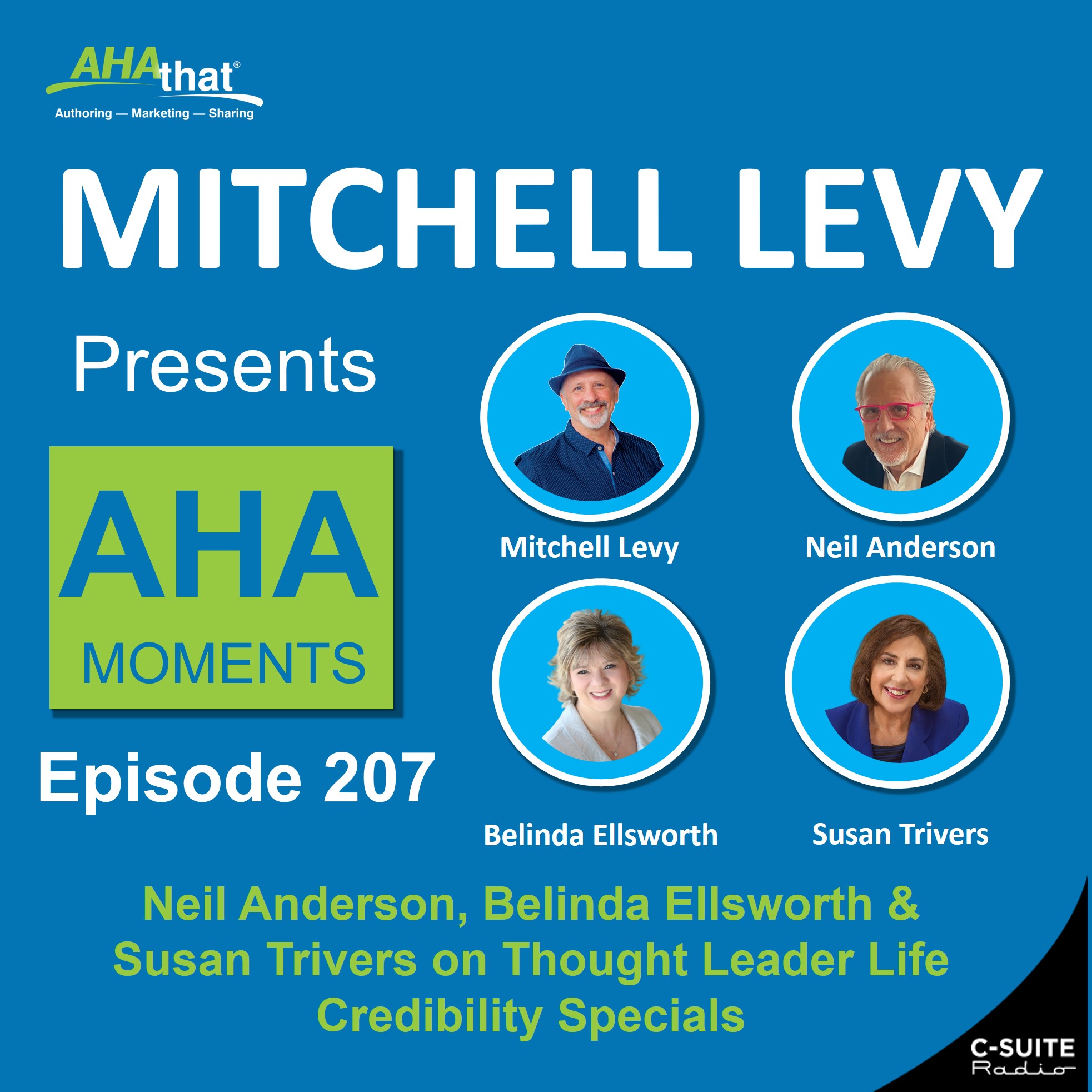 Mitchell Levy Presents AHA Moments