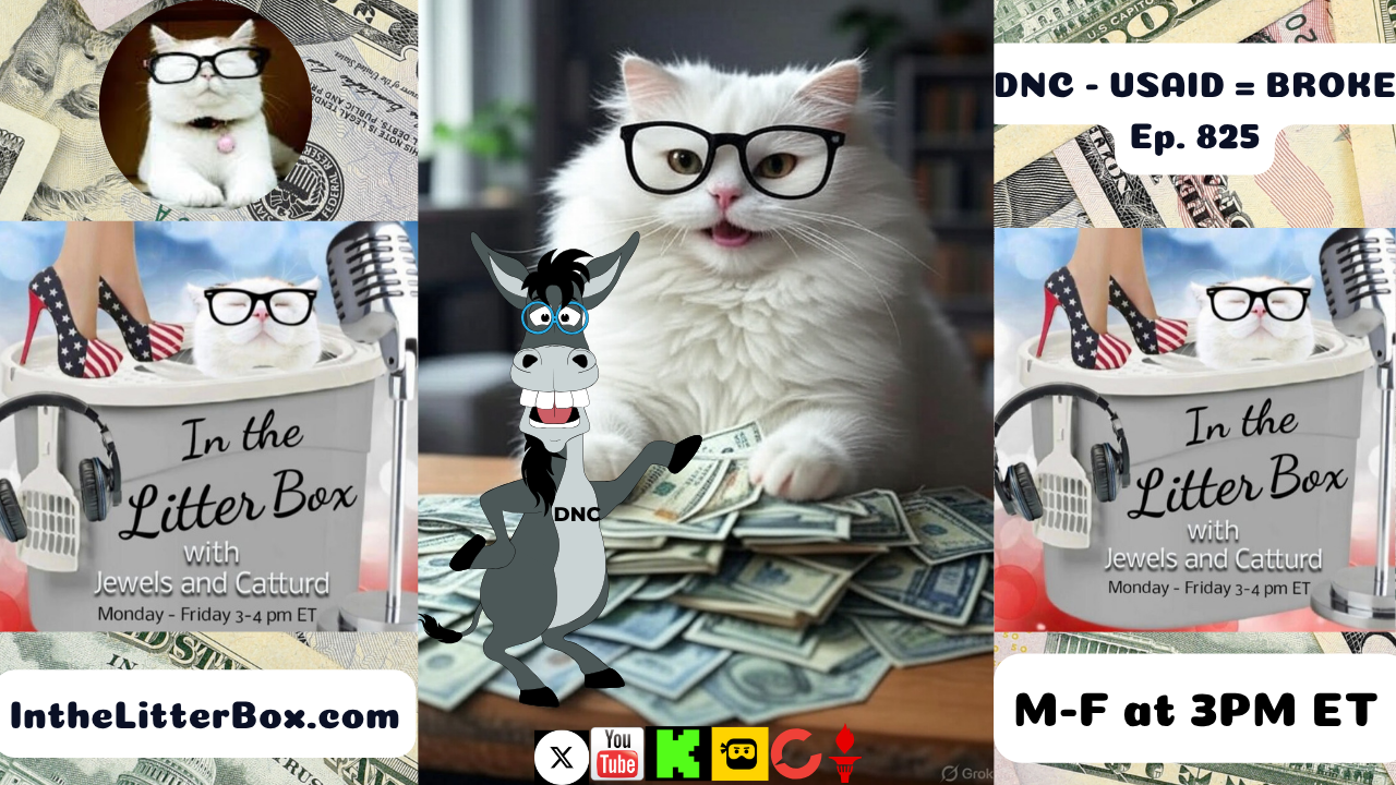 DNC - USAID = BROKE | In the Litter Box w/ Jewels & Catturd – Ep. 825– 6/19/2025