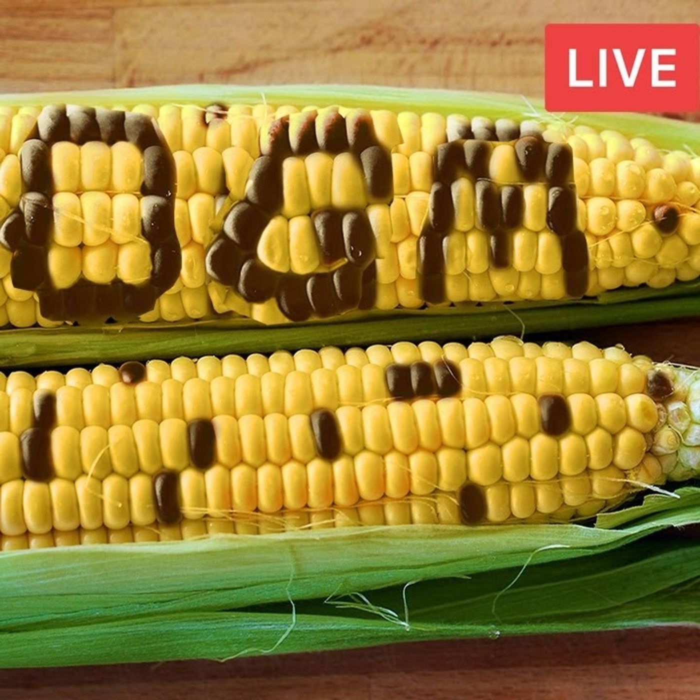 Nuovi OGM in Italia, quali rischi? Con Francesco Paniè