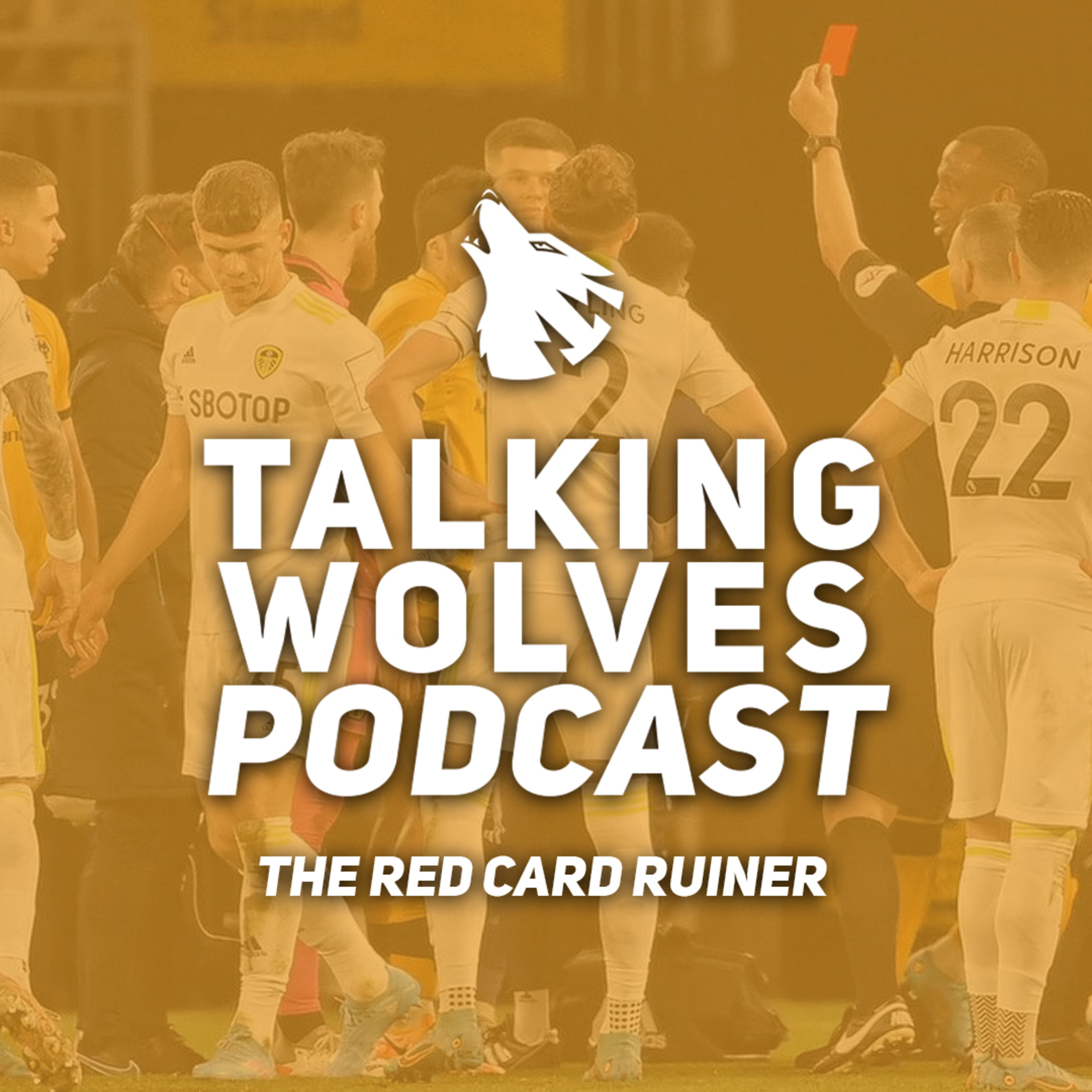 The Red Card Ruiner episode artwork