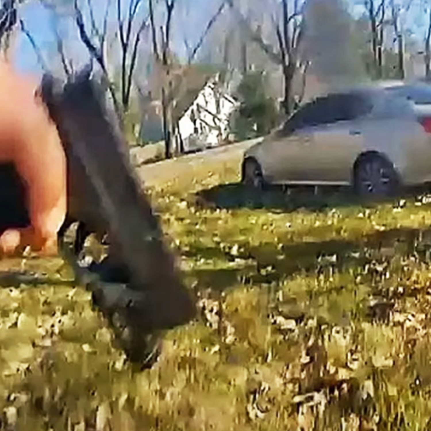 Cop Kills Black Woman Fleeing Her Abuser