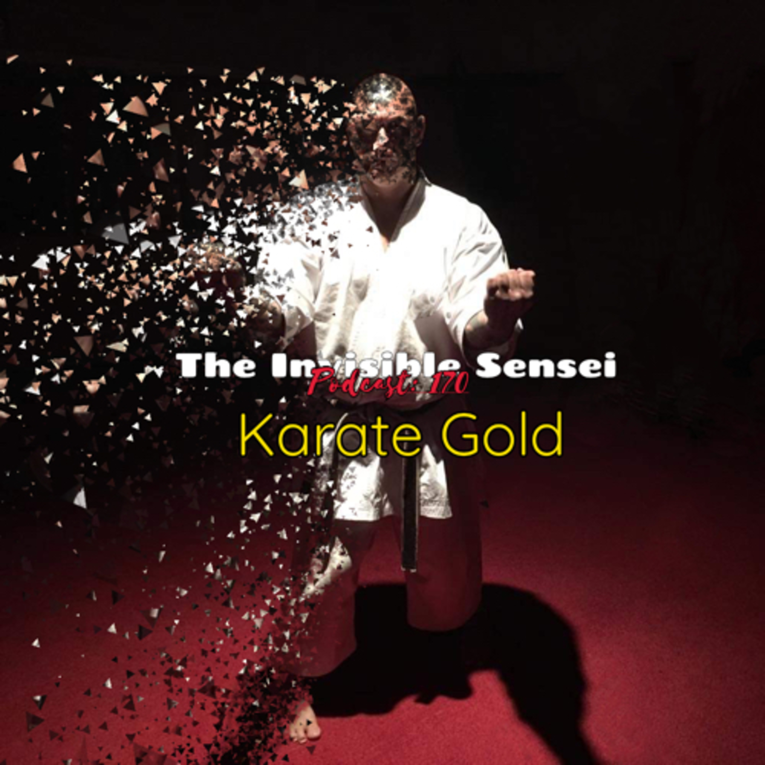 “Karate Gold: The Olympic Question.” episode artwork