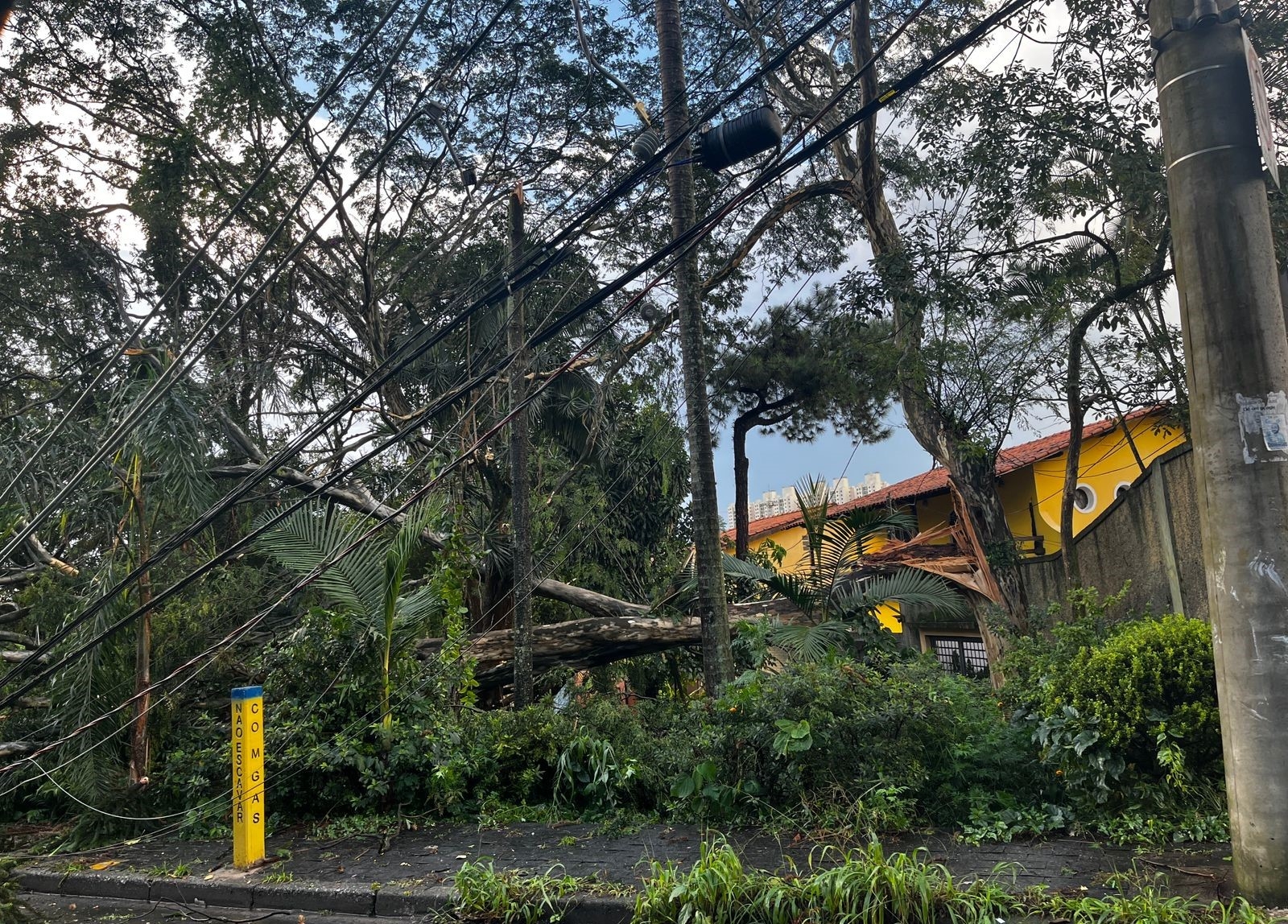 Moradores da zona oeste de SP contabilizam estragos das fortes chuvas da última terça-feira
