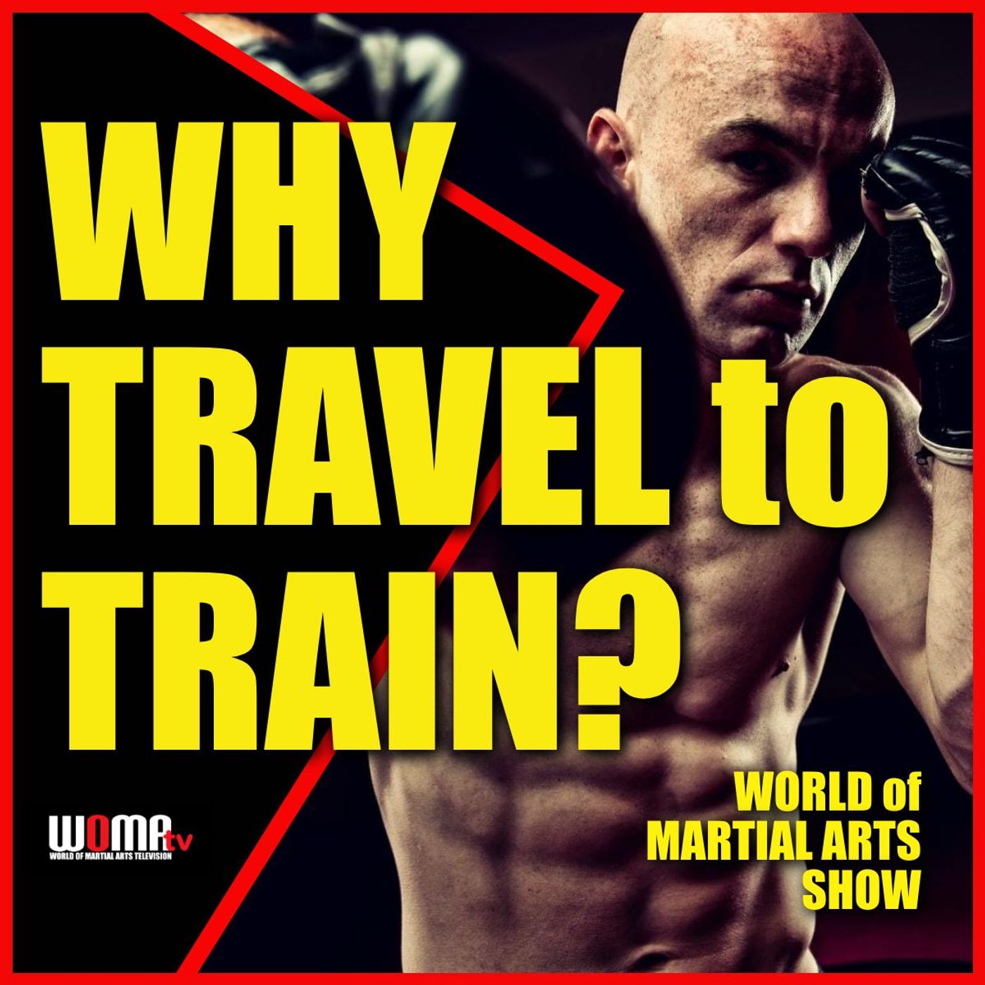 Why TRAVEL to Train?  WHY BOTHER? episode artwork