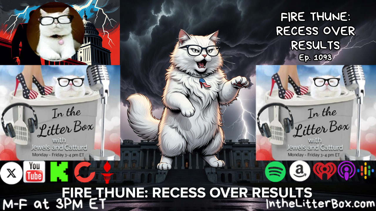 FIRE THUNE: RECESS OVER RESULTS | In the Litter Box w/ Jewels & Catturd – Ep. 1093 – 9/14/2026