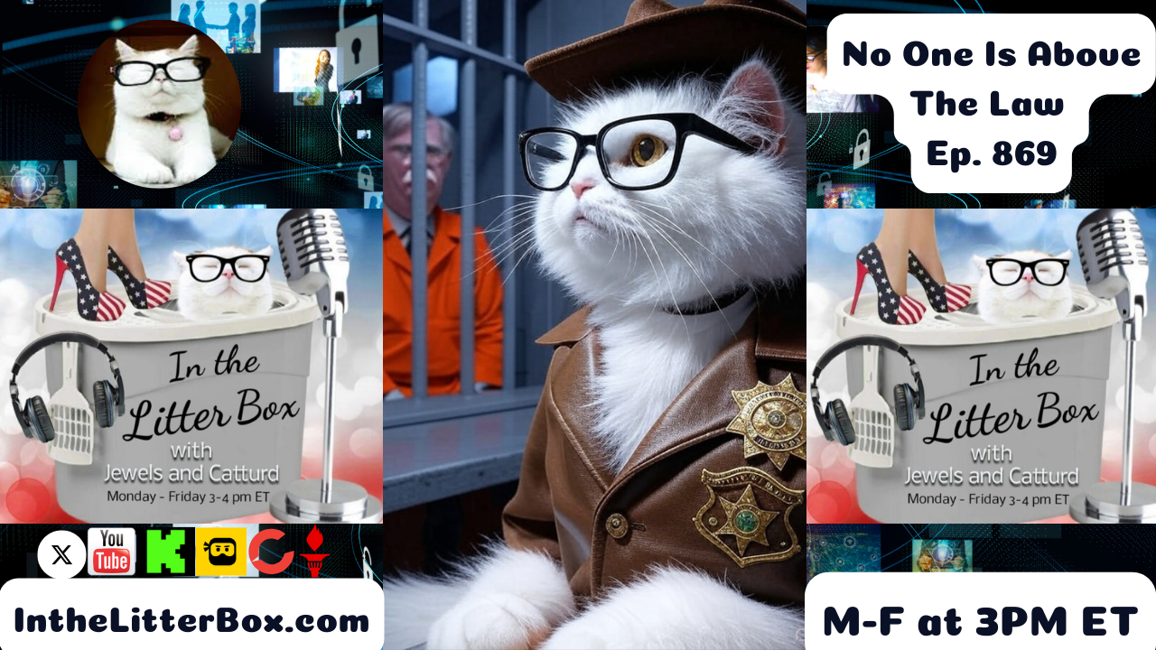 No One Is Above The Law | In the Litter Box w/ Jewels & Catturd – Ep. 869– 8/22/2025