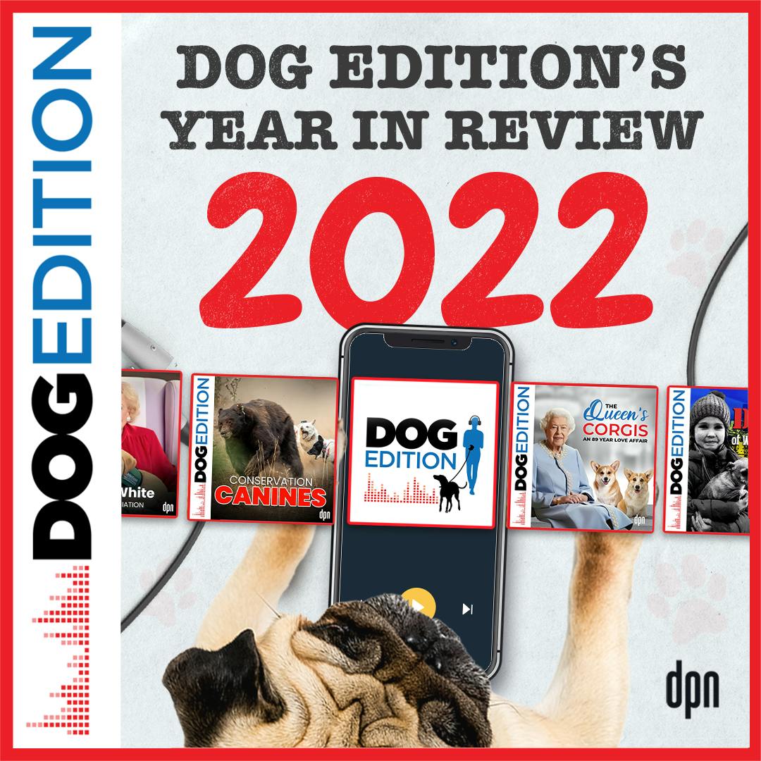 Dog Edition’s Year in Review 2022 | Dog Edition #78