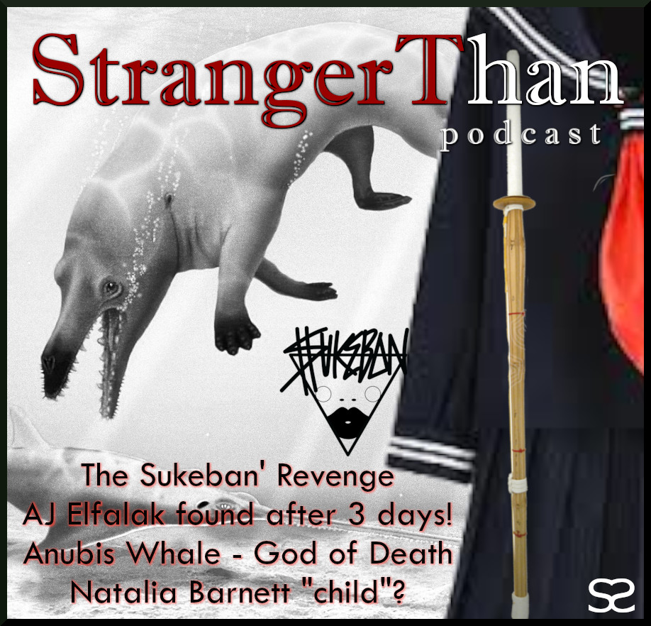Sukeban/Natalia Barnett/Missing Child/Prehistoric Whale episode artwork