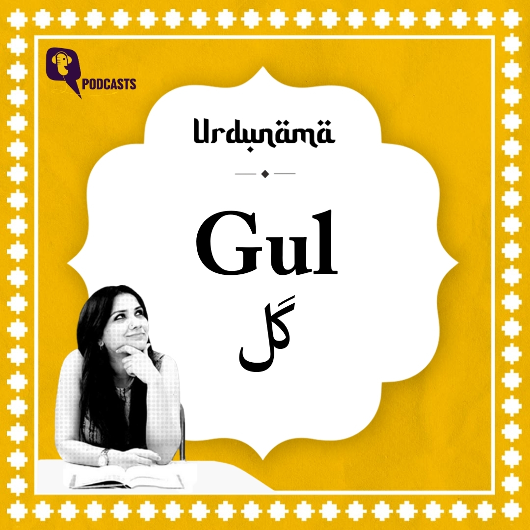 When 'Gul' Blooms, Dreams Take Flight