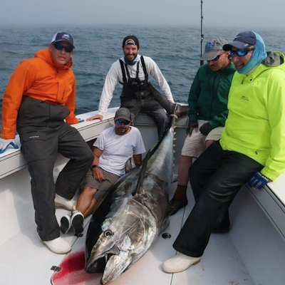 Cape Cod Fishing Forecast – 7/26/21 - My Fishing Cape Cod