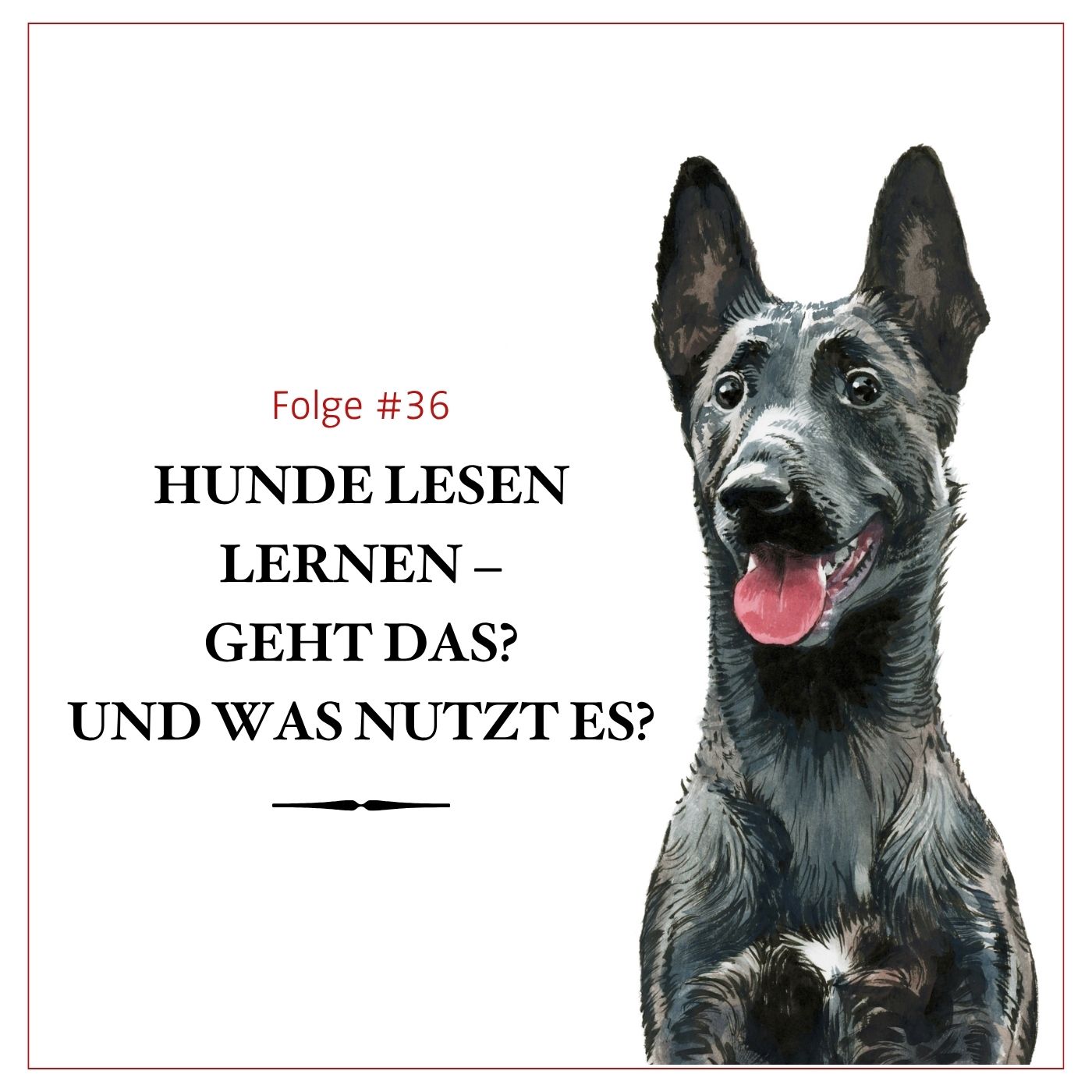 Hunde lesen lernen – geht das?  Und was bringt‘s – #36 episode artwork