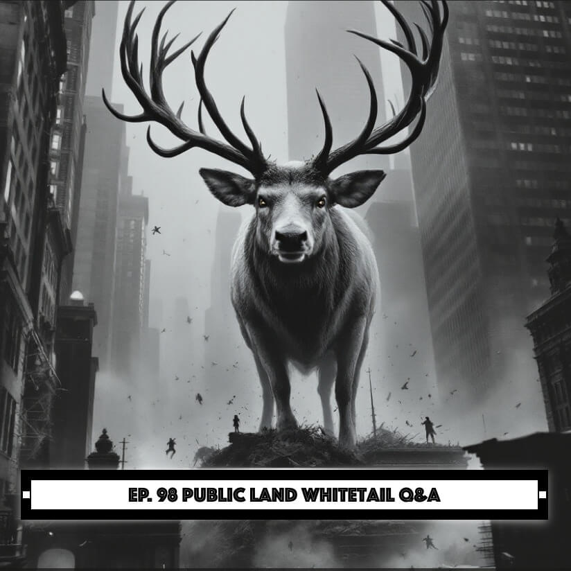 Hunt Detail - Public Land Whitetail Q&A