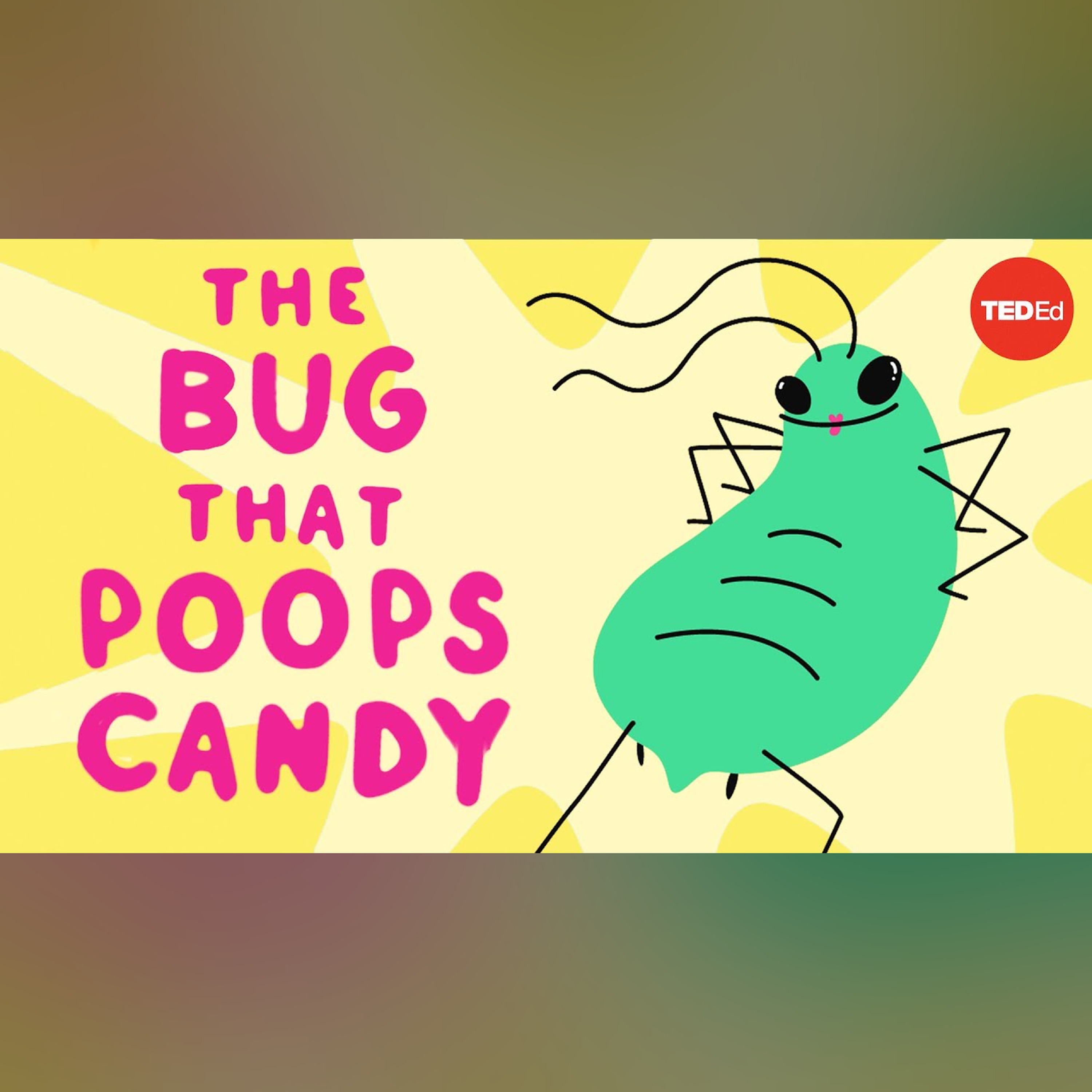 The bug that poops candy - George Zaidan episode artwork