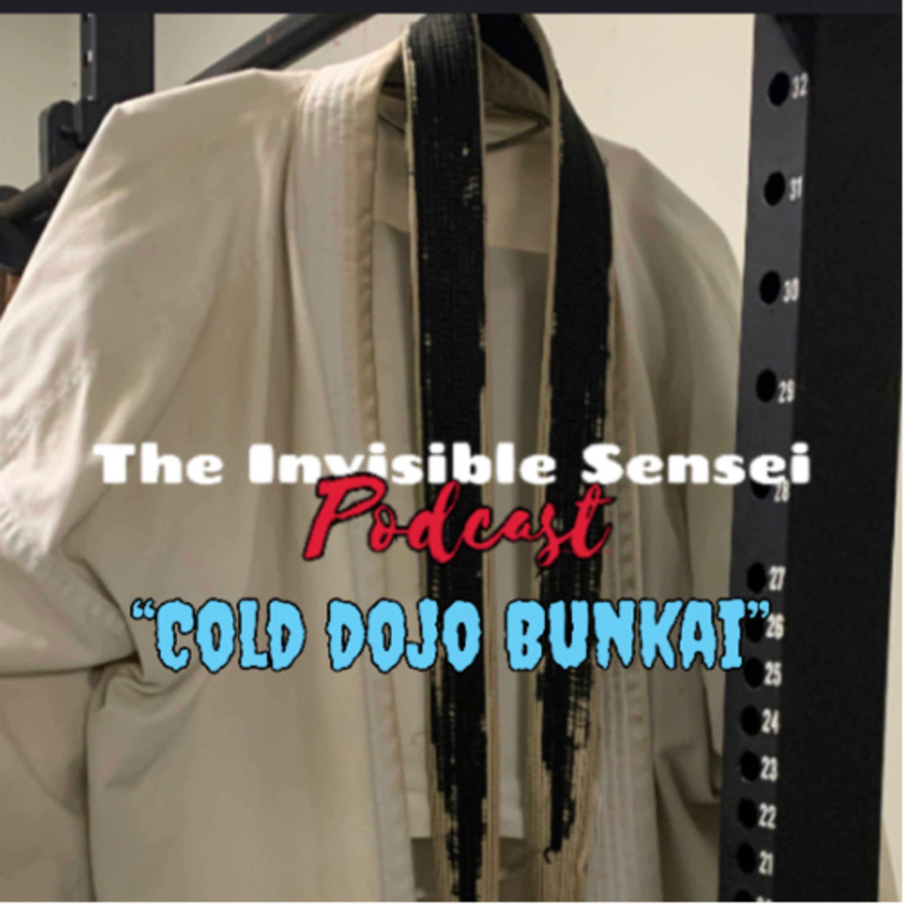 “Cold dojo Bunkai” episode artwork