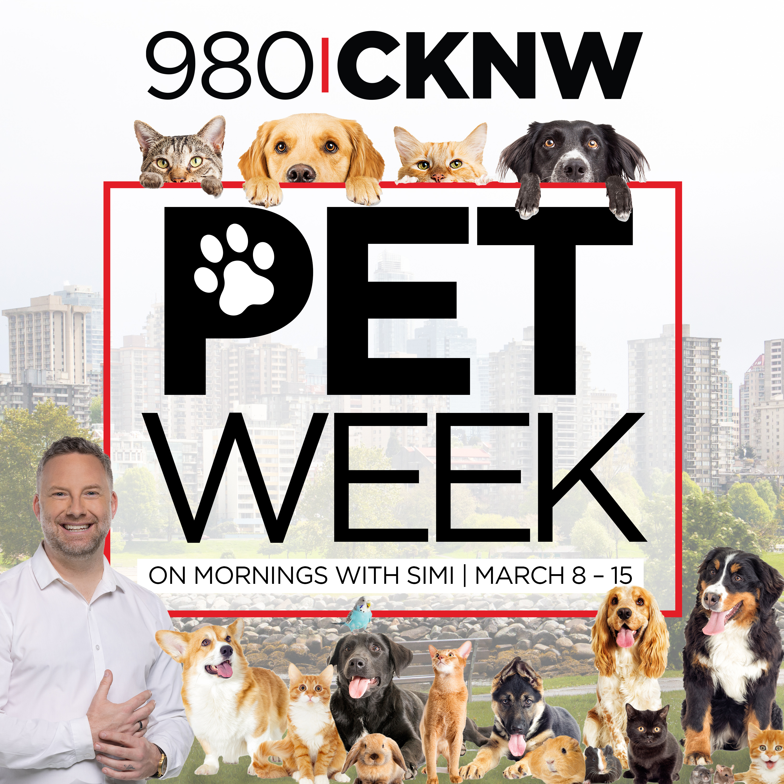 Pet Week: Can cats actually be trained?