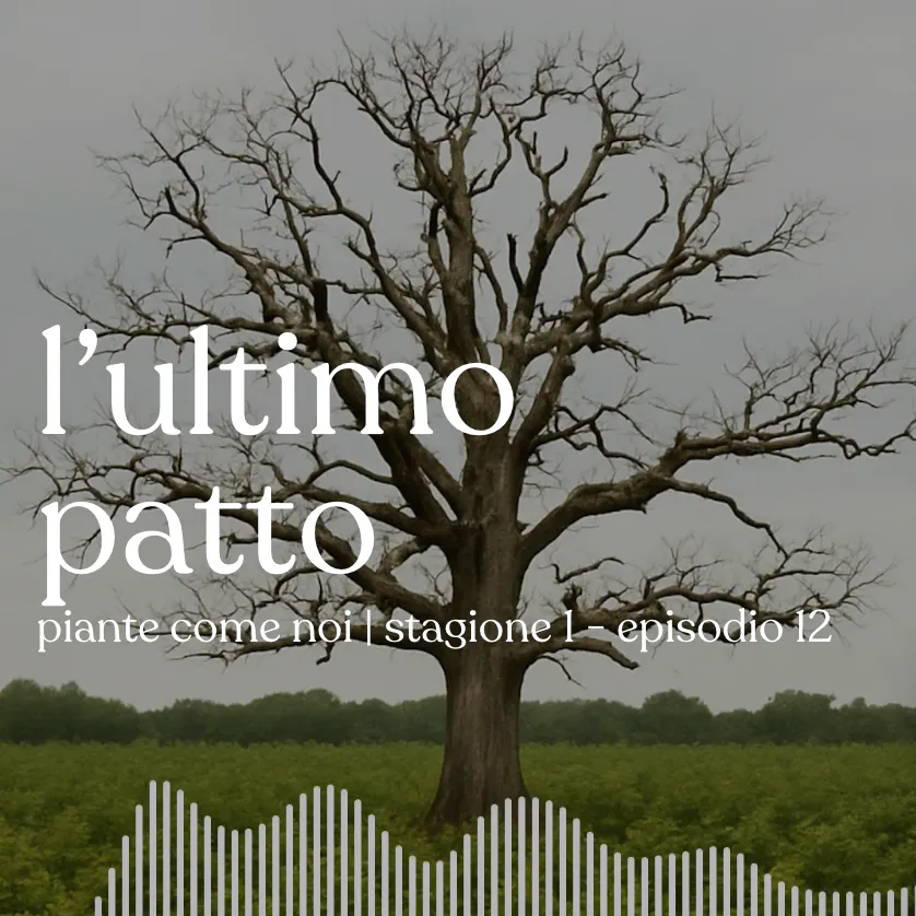 L'ultimo patto - Stagione 1 | Episodio 12 episode artwork
