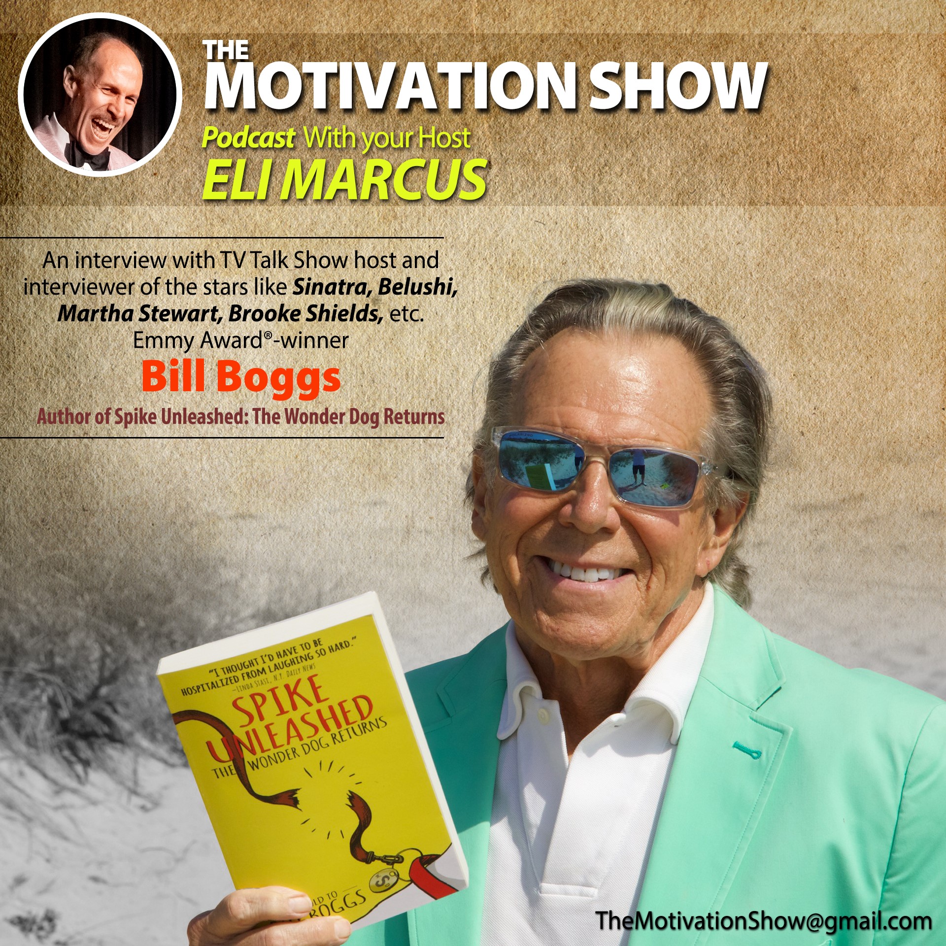 The Motivation Show
