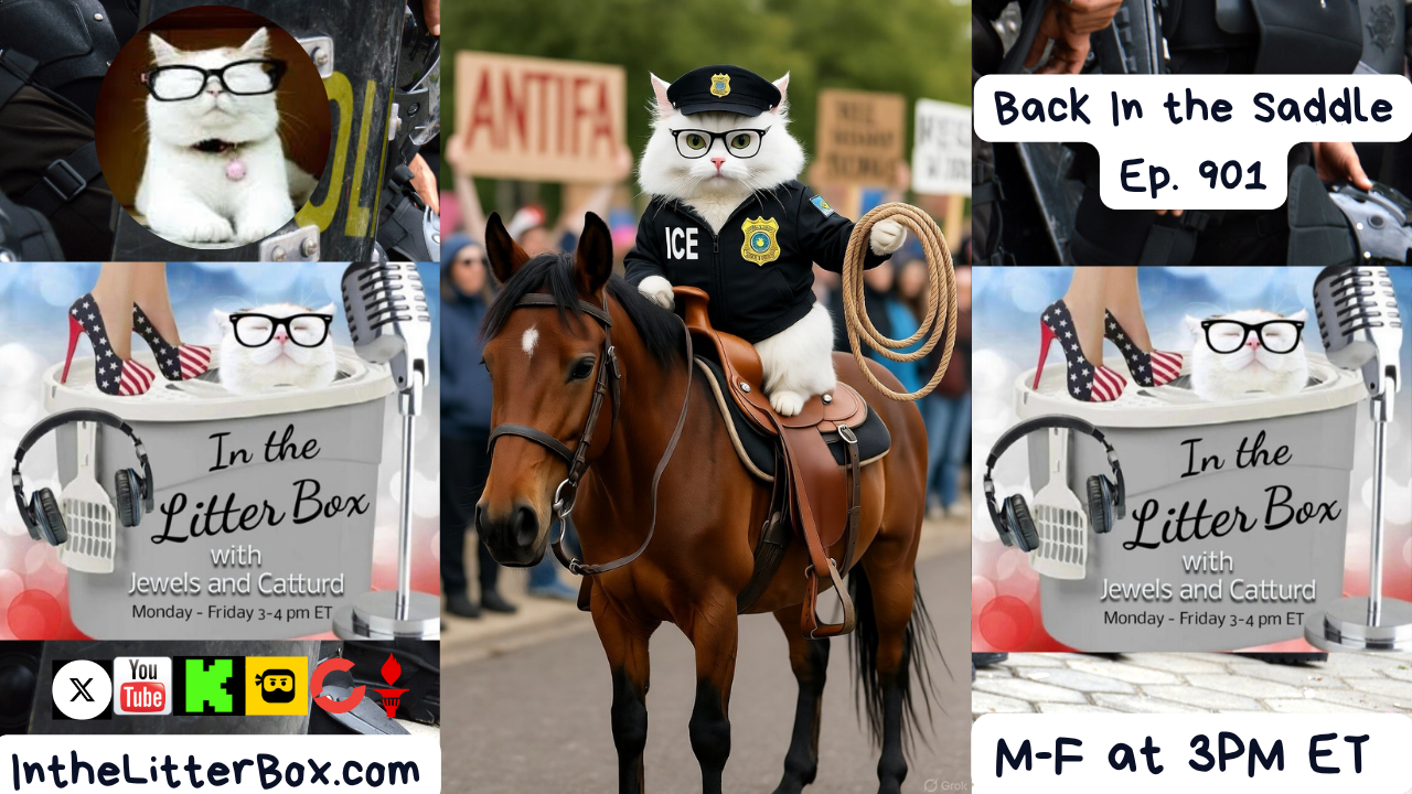 Back In The Saddle | In the Litter Box w/ Jewels & Catturd – Ep. 901 – 10/14/2025