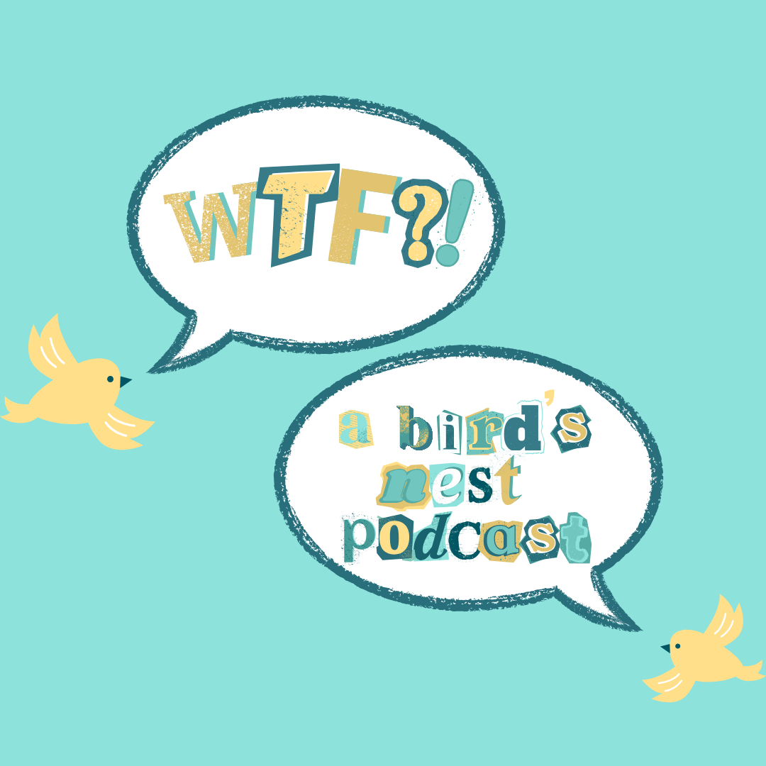 Episode 2: The Softlaunch of Adulthood