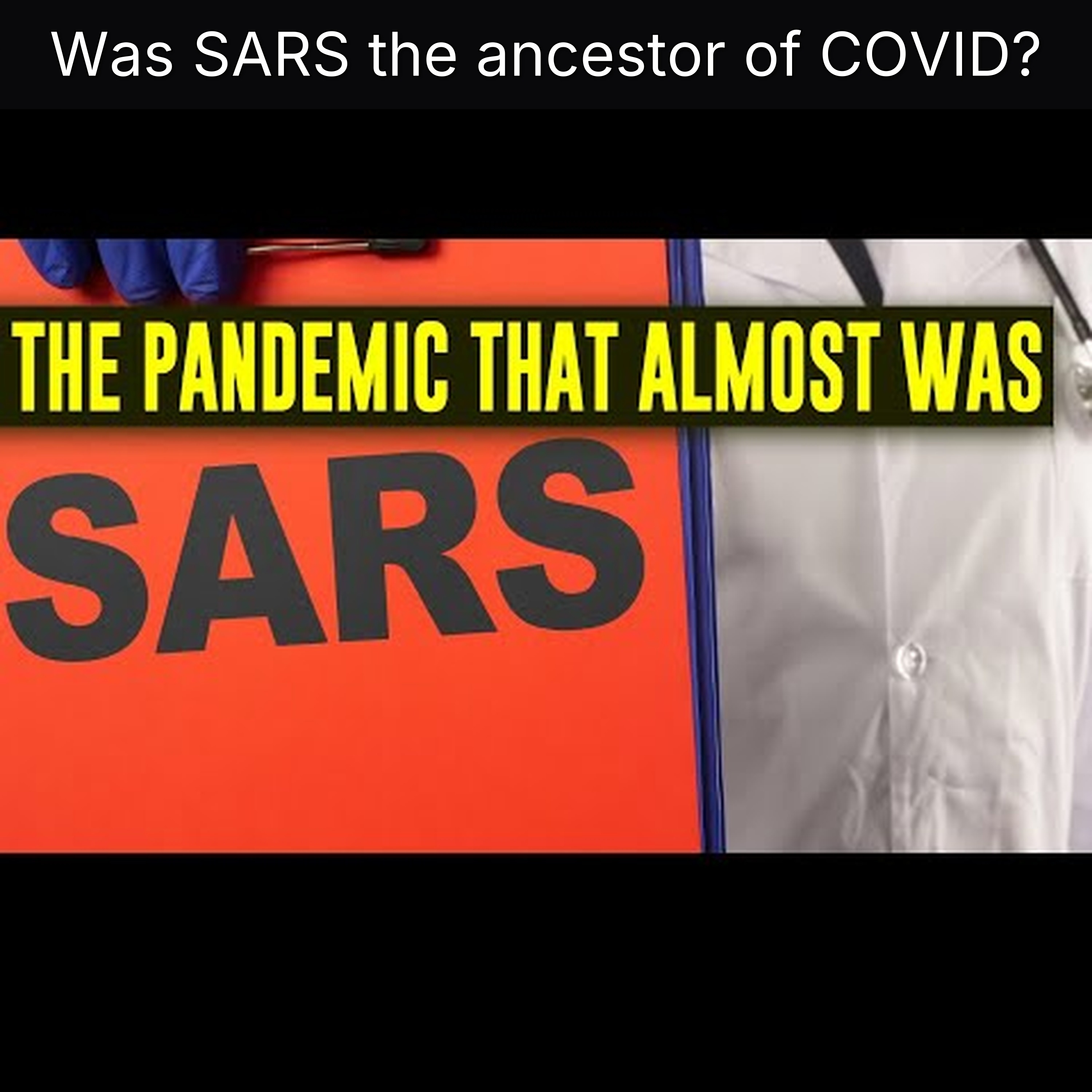 Was SARS the ancestor of COVID?