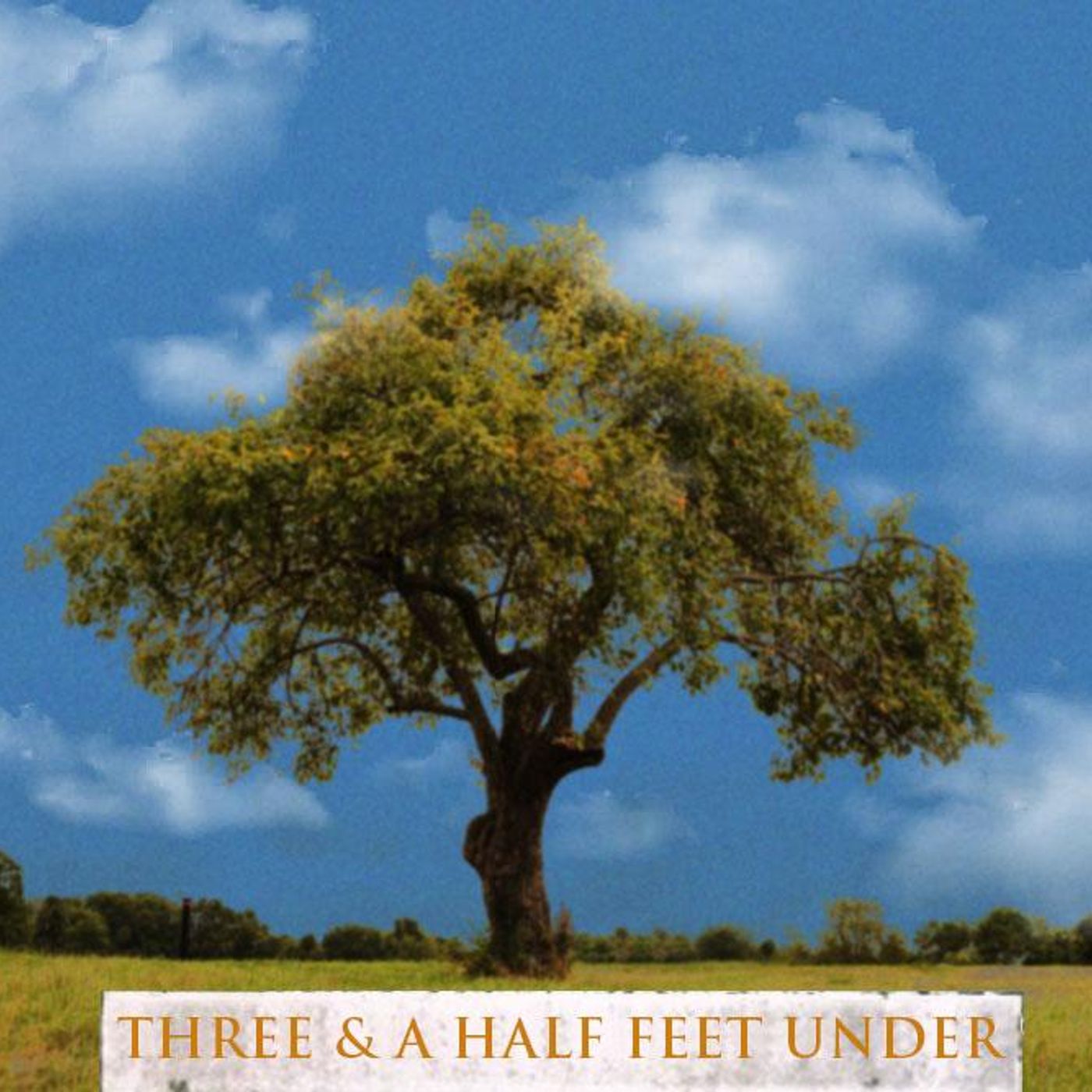 Bonus Episode: 3 1/2 Feet Under