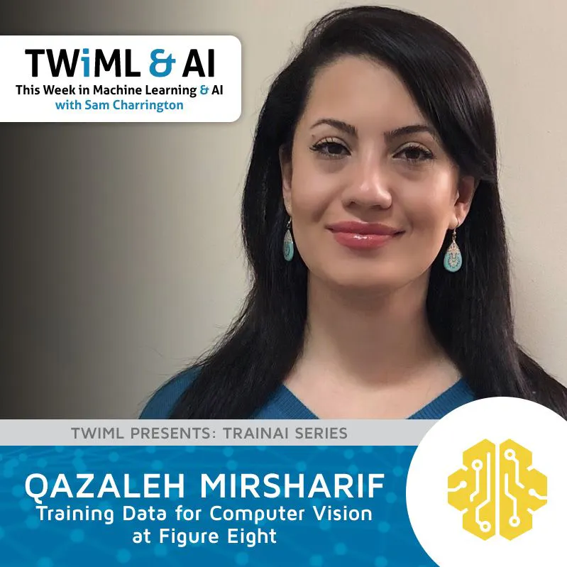Training Data for Computer Vision at Figure Eight with Qazaleh Mirsharif - TWiML Talk #144 Episode cover
