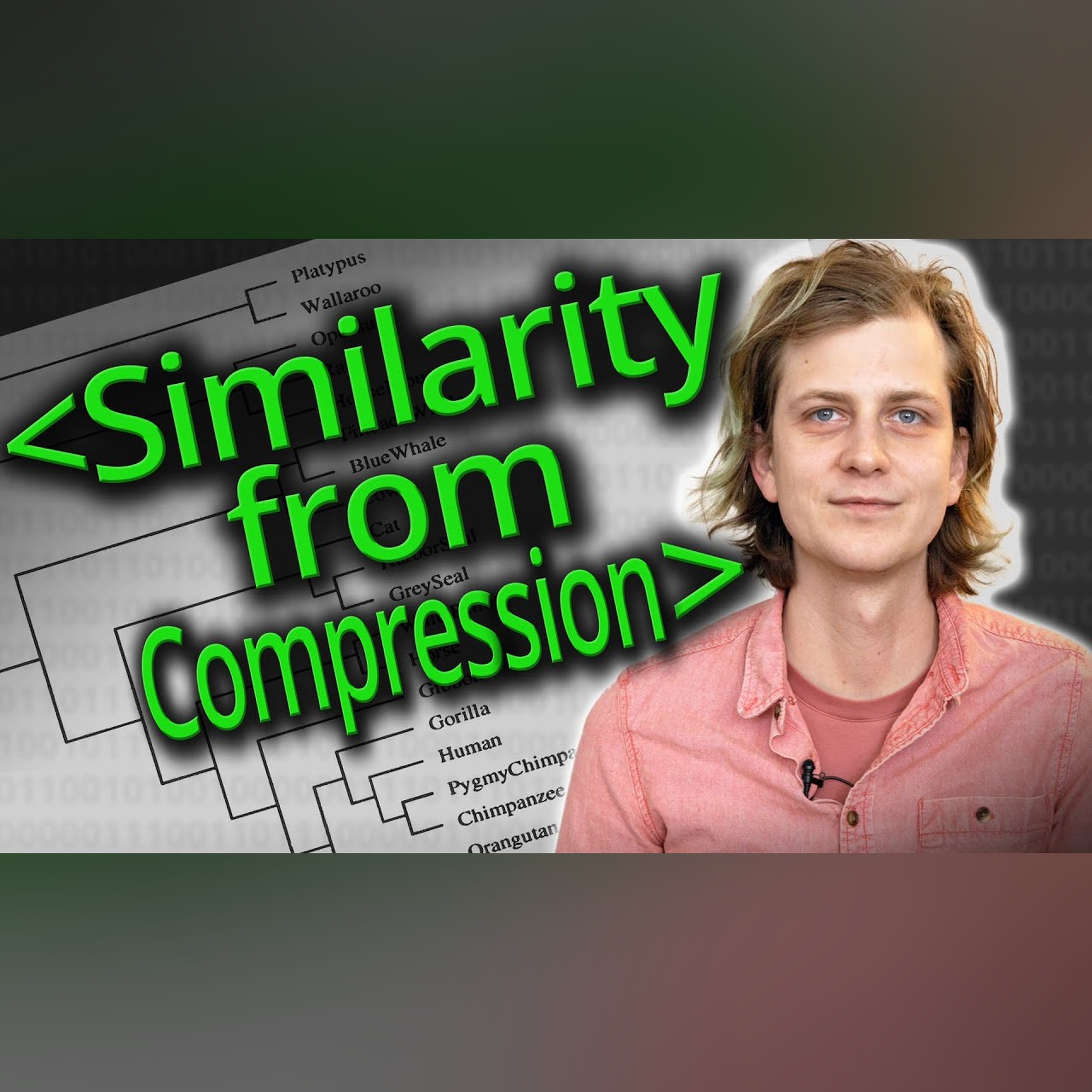 Zip It! - Finding File Similarity Using Compression Utilities - Computerphile episode artwork